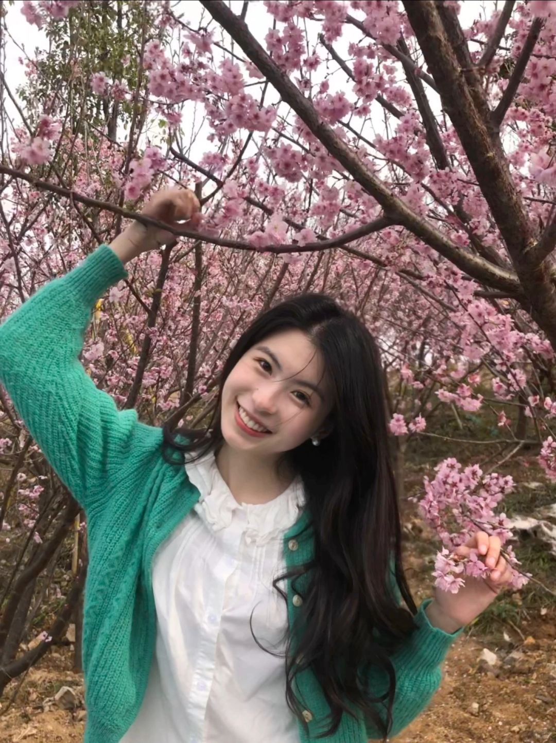 春天的live🌸