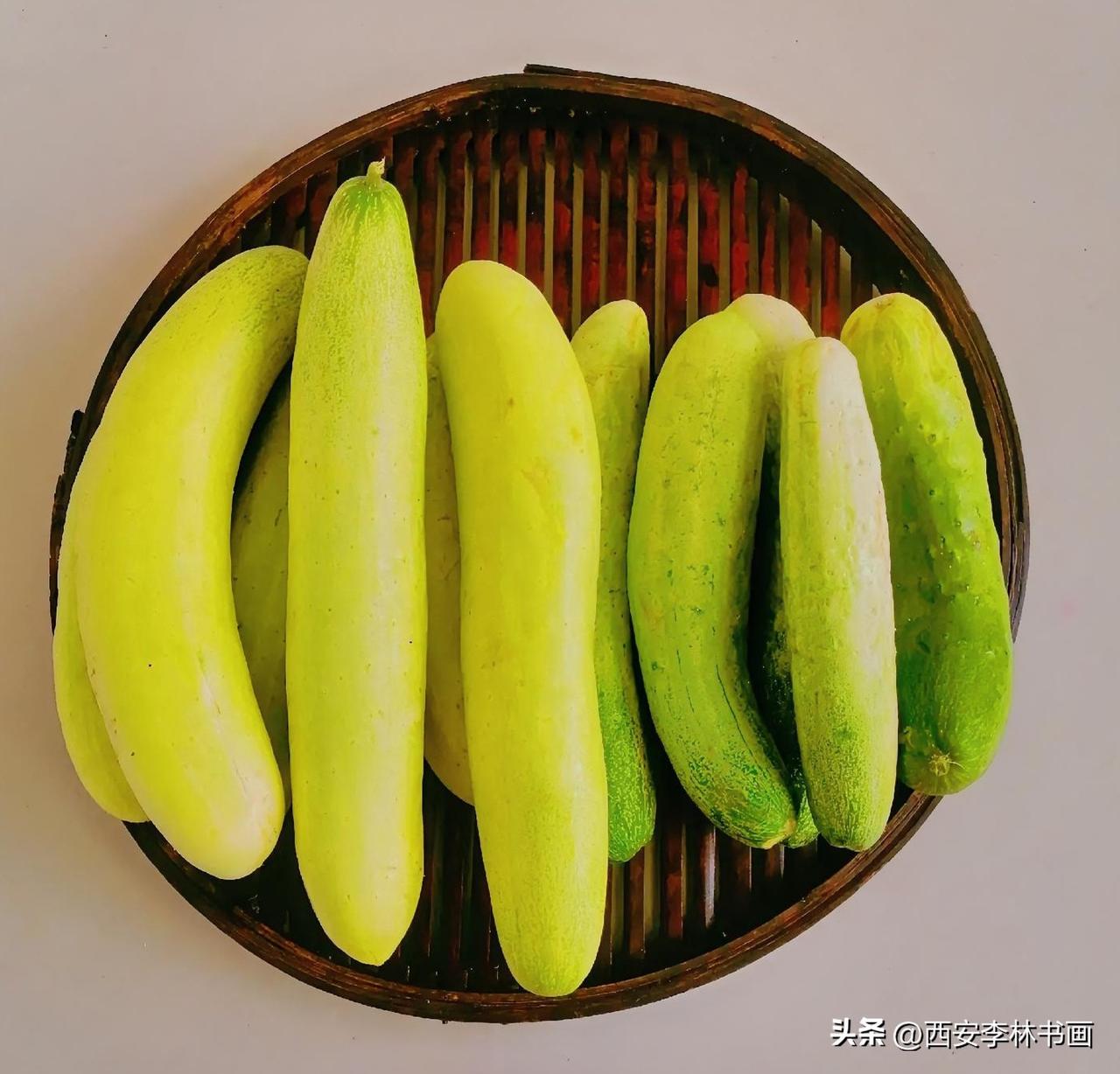 《这么大这么美的水果黄瓜第一次见（西安李林6月24日摄于汉中城固）》