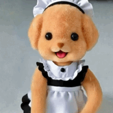 马年春晚要是敢有刀马别搞这些哇，到时候我就拿把刀出来啊，能不能有点新意啊，不过我