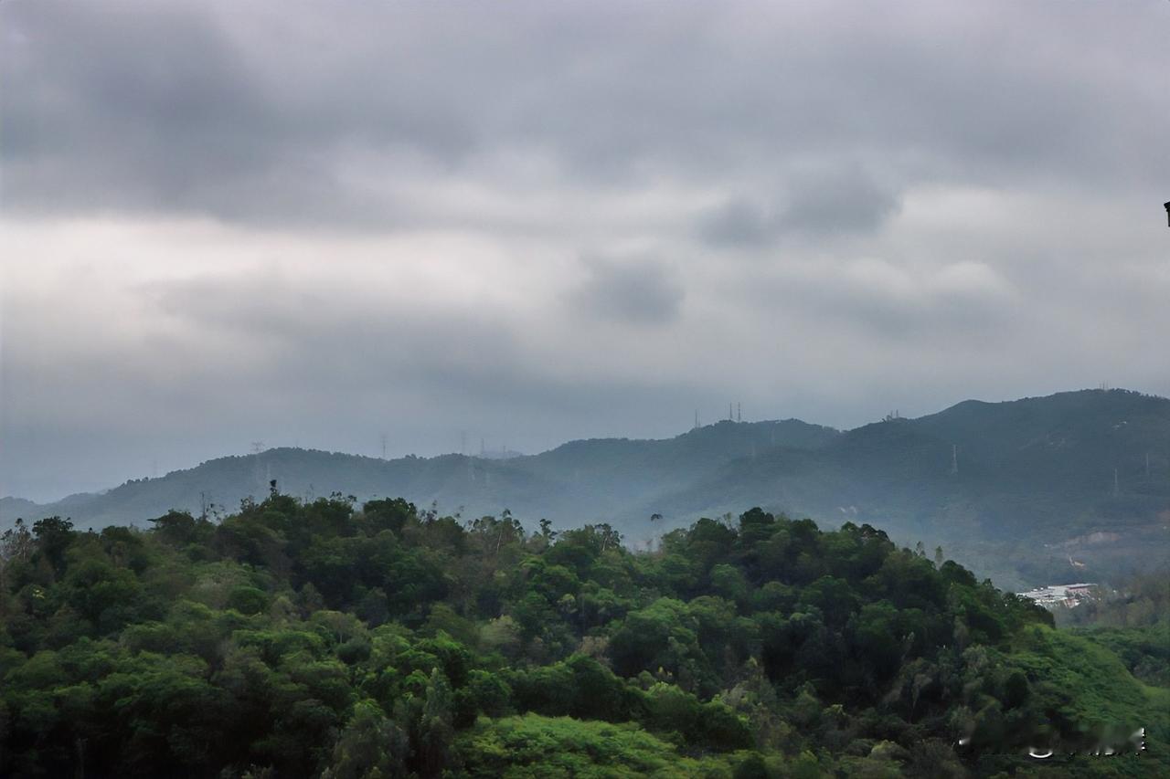 总在记忆里（1525）：孩子，早上好。今天天气不好，没有太阳，感觉似乎少了点什么