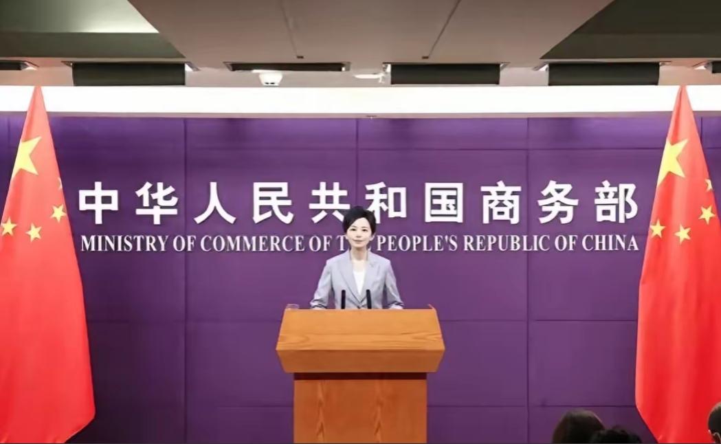 全世界都以为华盛顿那根制裁大棒一挥，谁也不敢再去触碰中东的利益蛋糕。但这回，中方