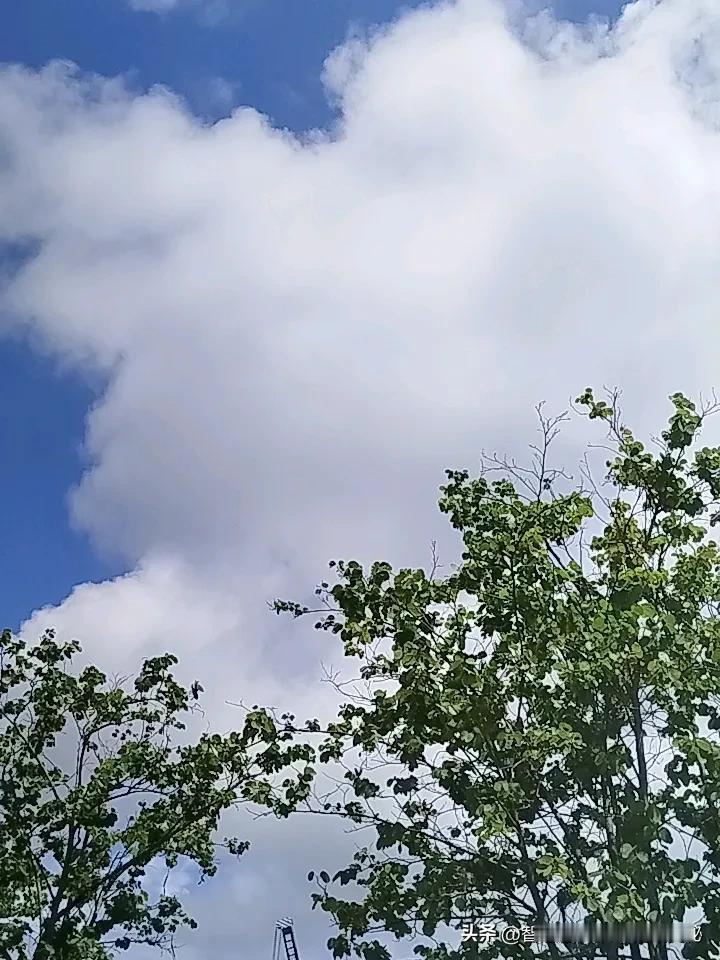 沿着小路前行，会邂逅一汪清澈的溪流。溪水潺潺流淌，在阳光的照耀下闪烁着点点银光。
