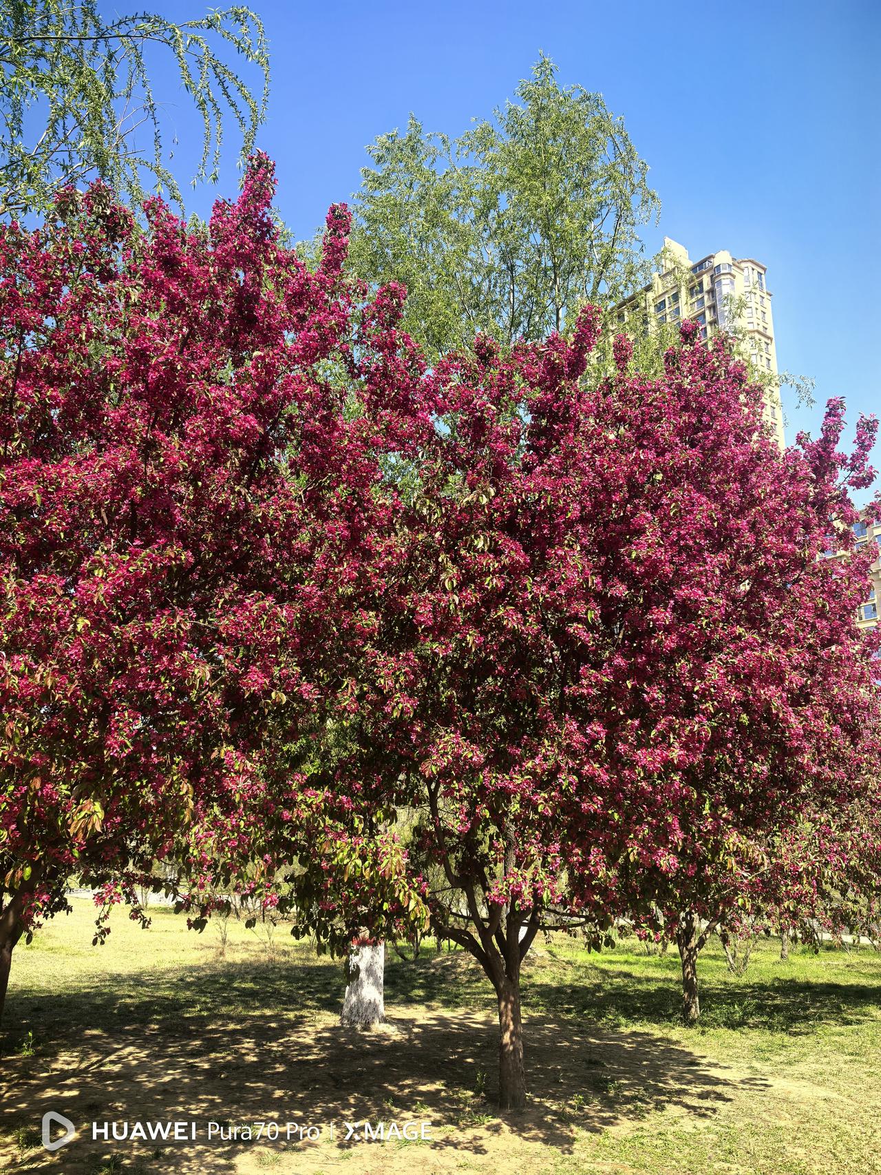 一代人有一代人的审美，因为不同的时代有着不同的文化内涵，这很正常。但绝不能用自己
