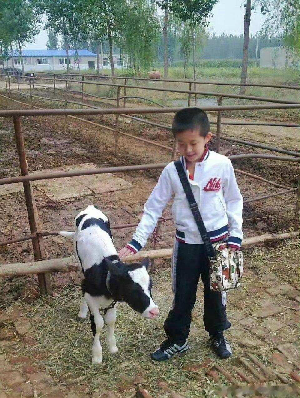 王楚钦 🦁王楚钦开心自由路是一步步走出来的，你的努力会成就你的未来！楚钦宝宝晚
