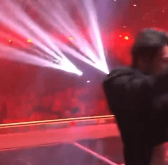 这是狡猾的什么 