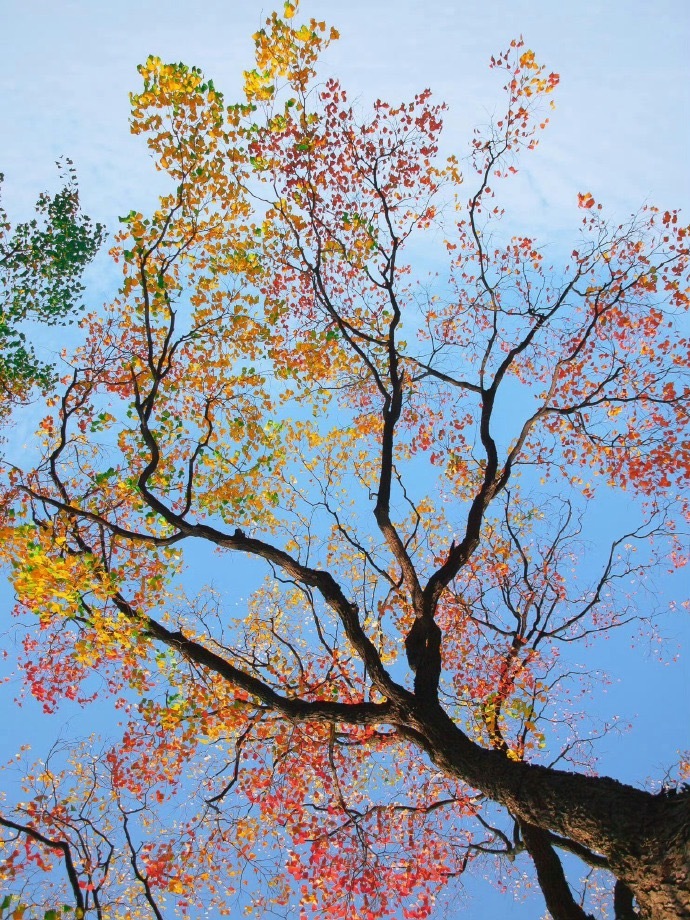 纳指已经表现很好了，不能要求太多。就这样做下去到年底弄个十点左右可以有，多的话就