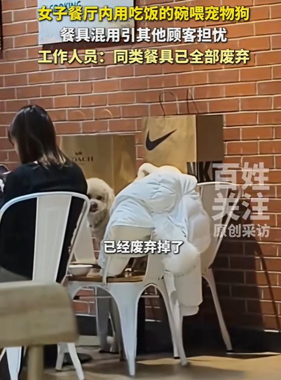 “顾客天塌了！”北京，一女子吃饭时，发现邻桌的客人正用盘子给狗喂食，周围人都看见