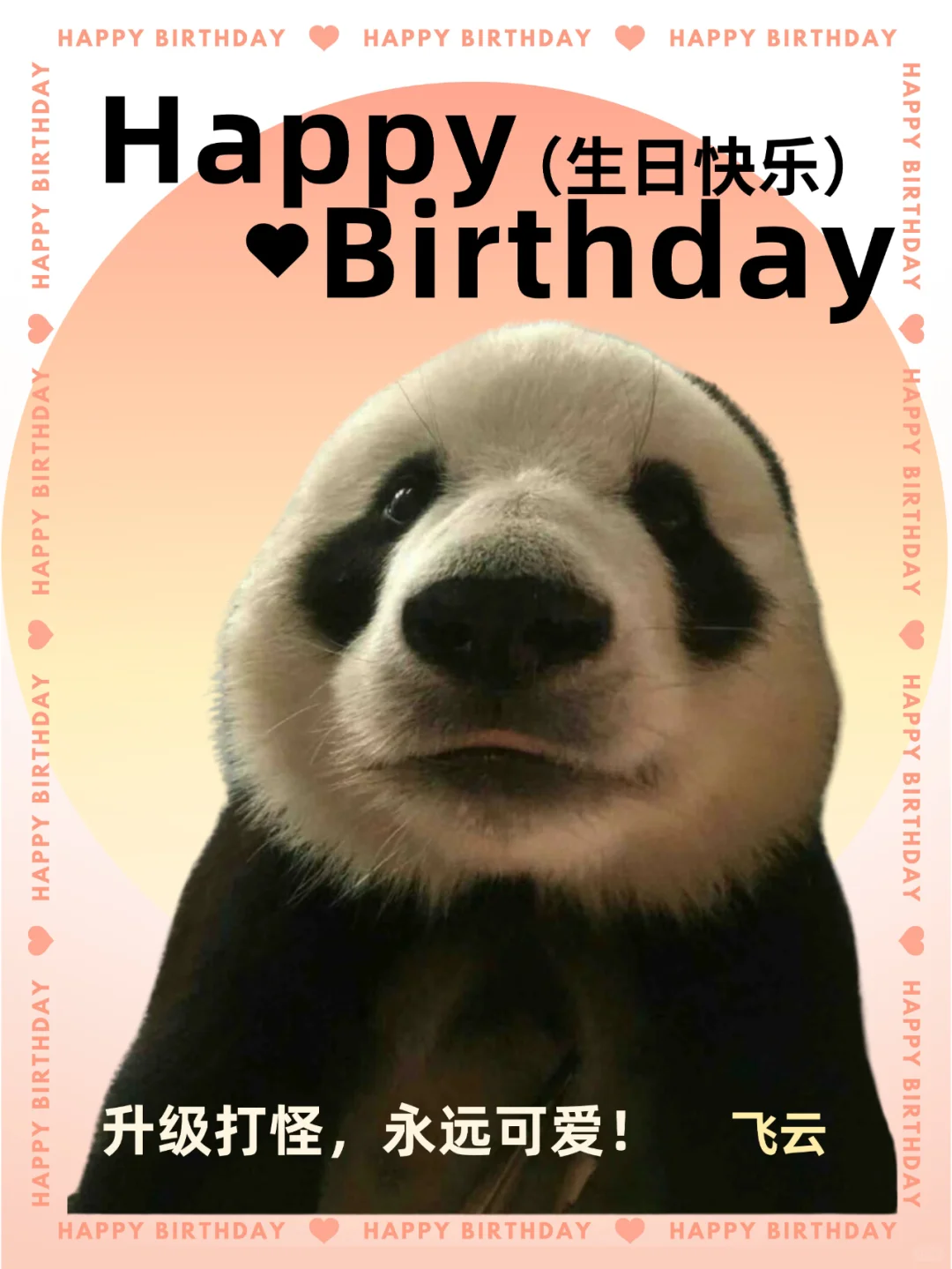 虎子开门，我是飞云！