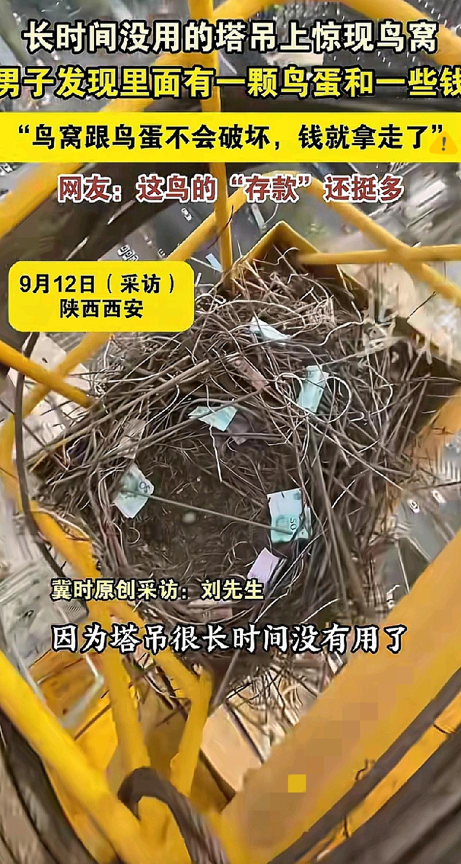 笑不活了家人们！
西安塔吊司机第一天上班，居然在塔吊鸟窝里掏出了现金！喜鹊这是偷