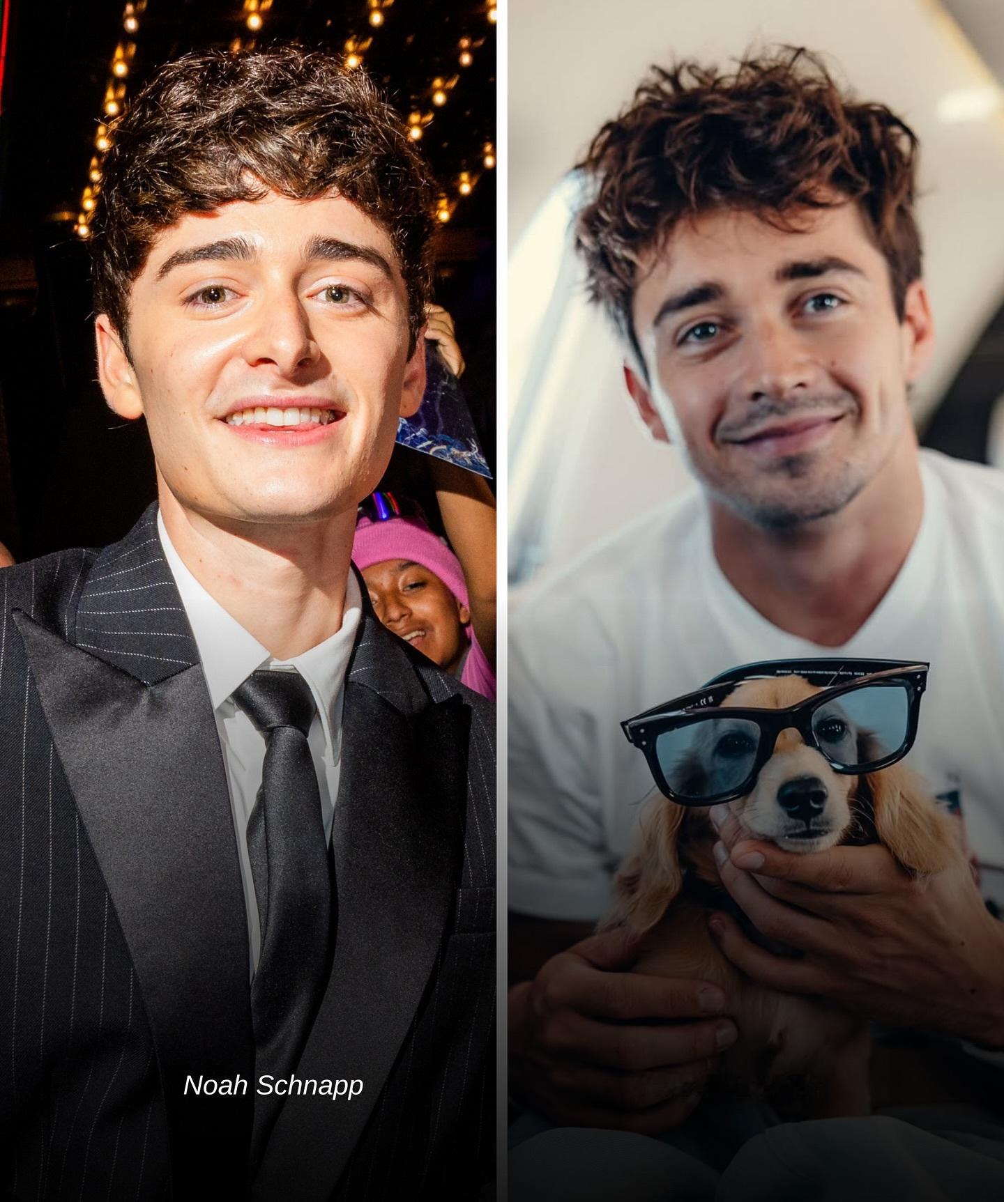 “威尔”诺亚·施纳普”撞脸勒克莱尔？！外网盘点了一组对比照，你觉得他们像吗？怪奇