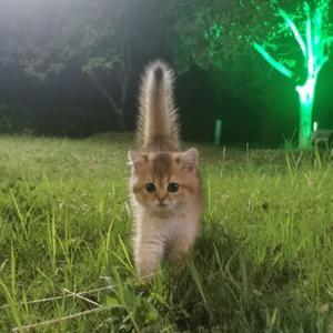 一个民宿人的故事