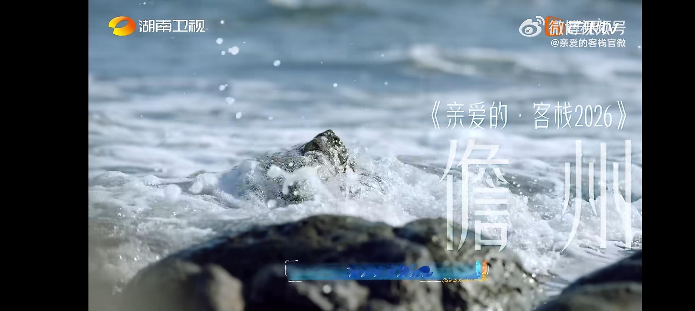 亲爱的客栈王鹤棣组队创业 海边美景，从零开始创业，亲爱的客栈王鹤棣带领大家开启新