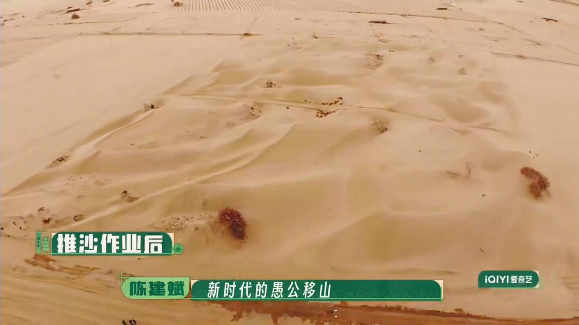 陈建斌说推沙是新时代的愚公移山 愚公不惧群山阻隔，少年不畏漫天黄沙，同样是为了更
