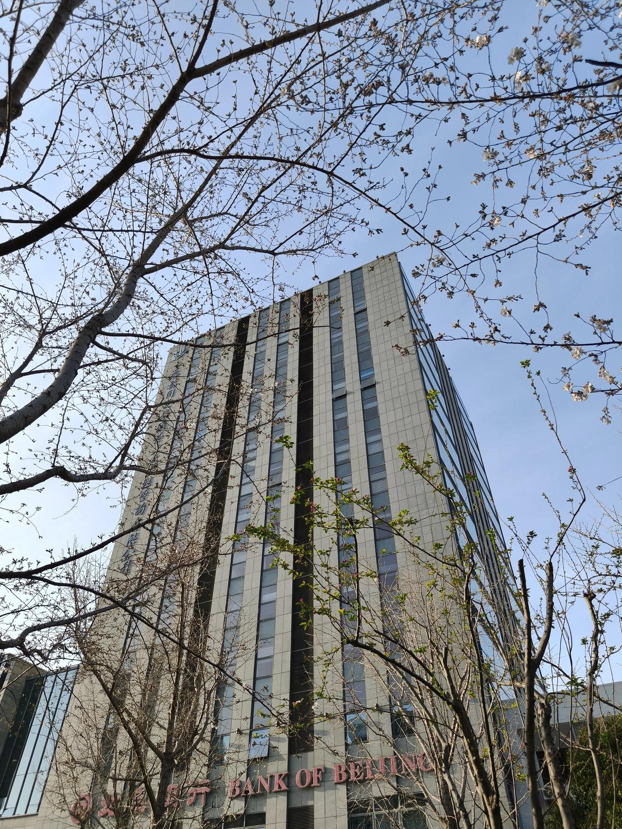 樱花🌸步道上只有星星点点的几朵樱花🌸🌸🌸🌸

再过几天应该就到盛花期了