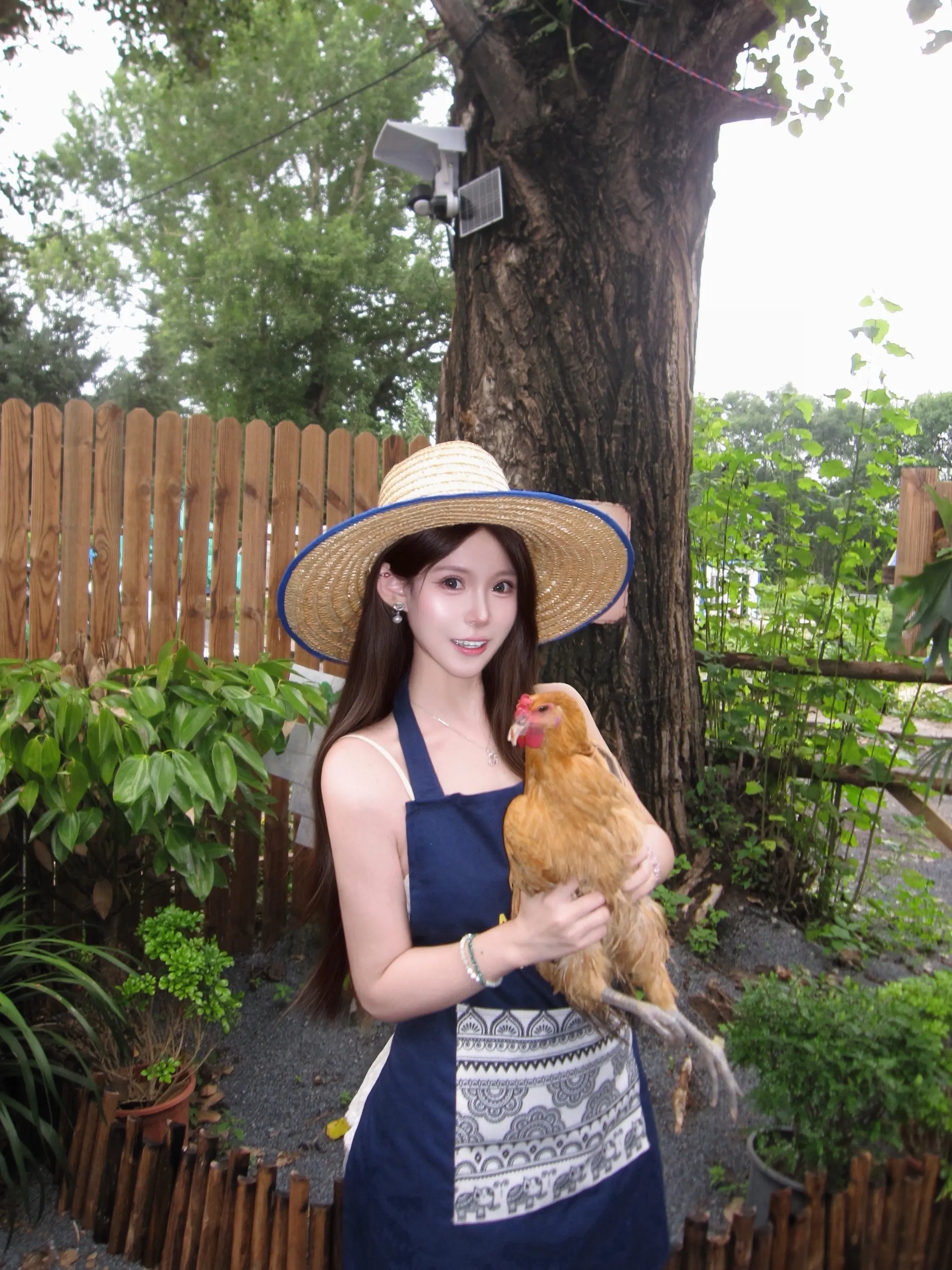 真的没空陪你胡闹了 我还要去喂鸡🐓🥕