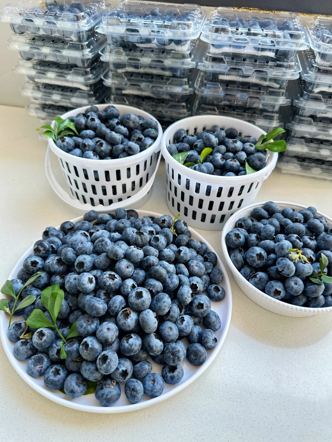 40多一桶，这破天荒的福利来得措不及防！