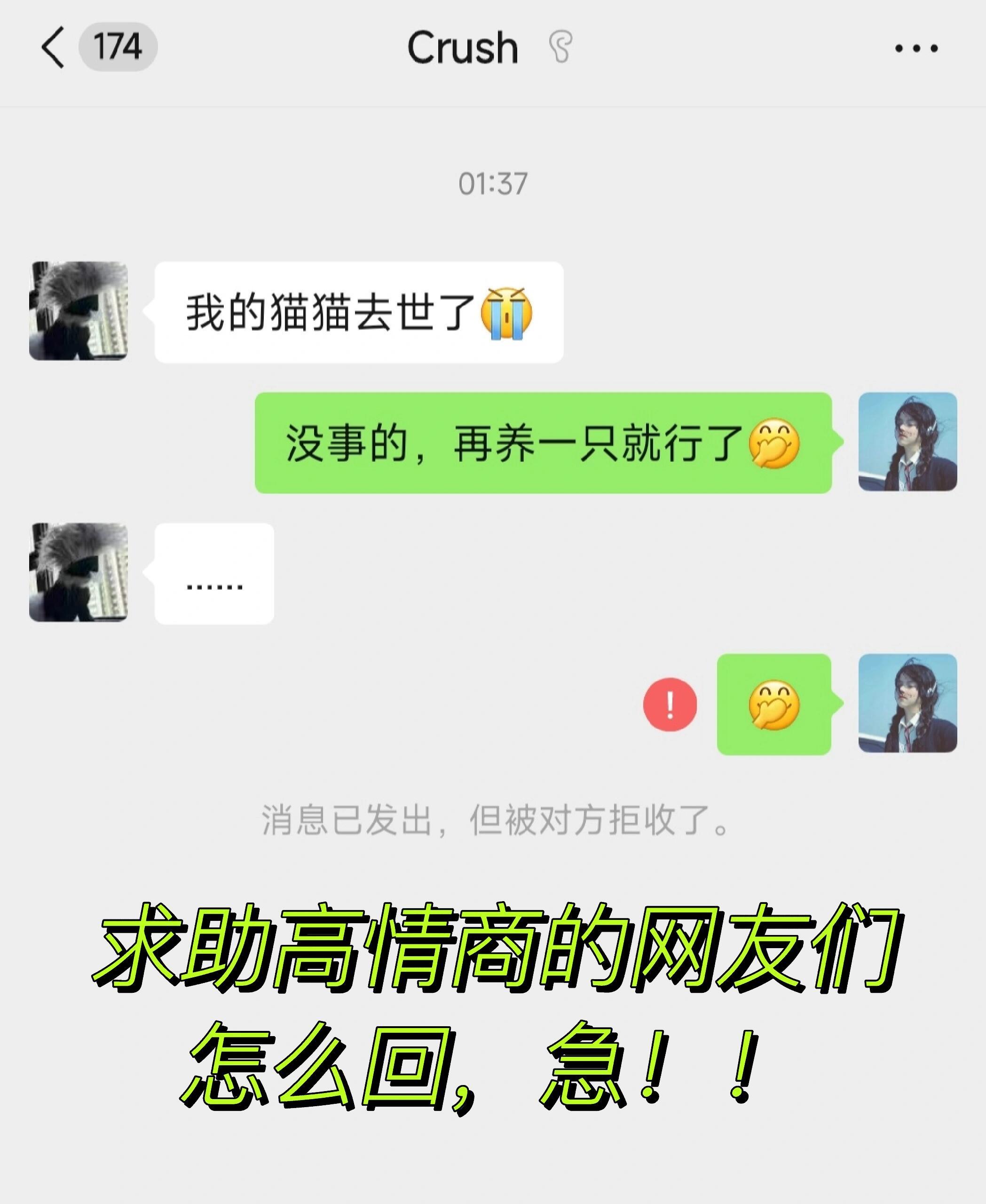 高情商回复|宠物离开，怎么安慰crush？晚上，自己心动的crush主动跟你分享