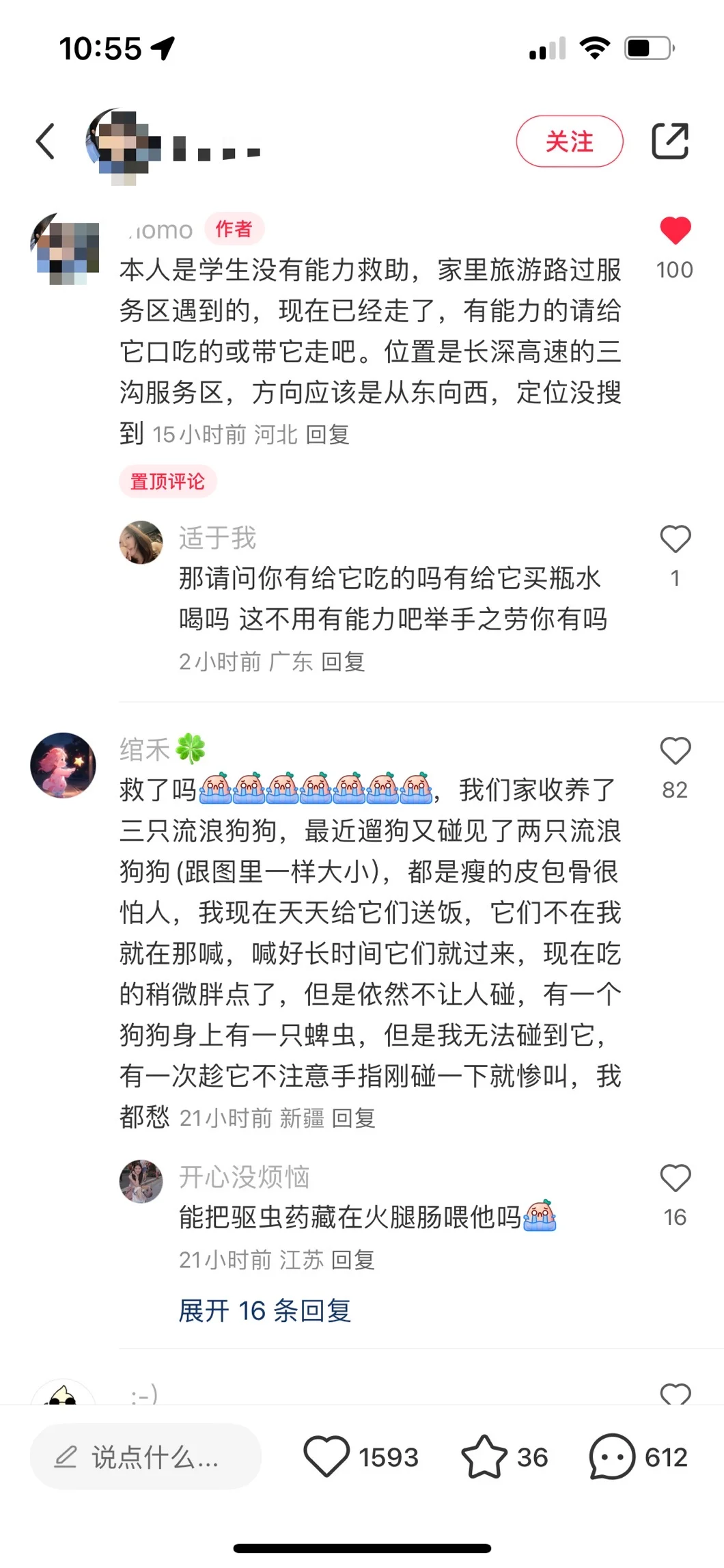 河北承德！求助！骨瘦如柴的狗狗