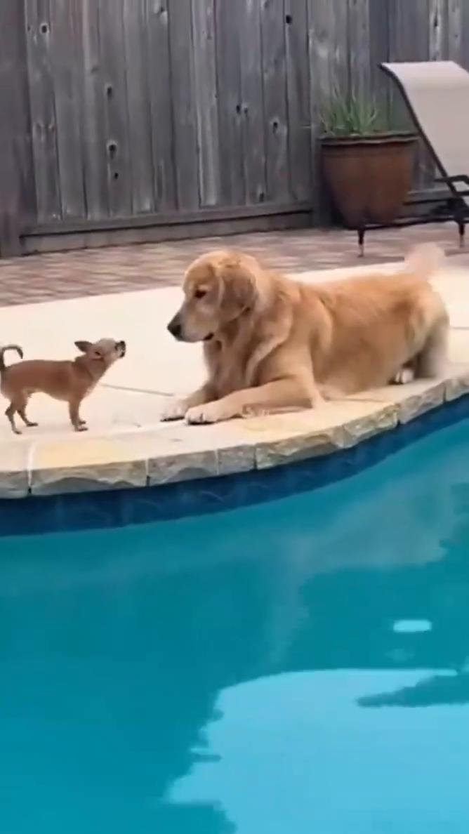 ·1、oh my god，he actually threw him。
·2、h