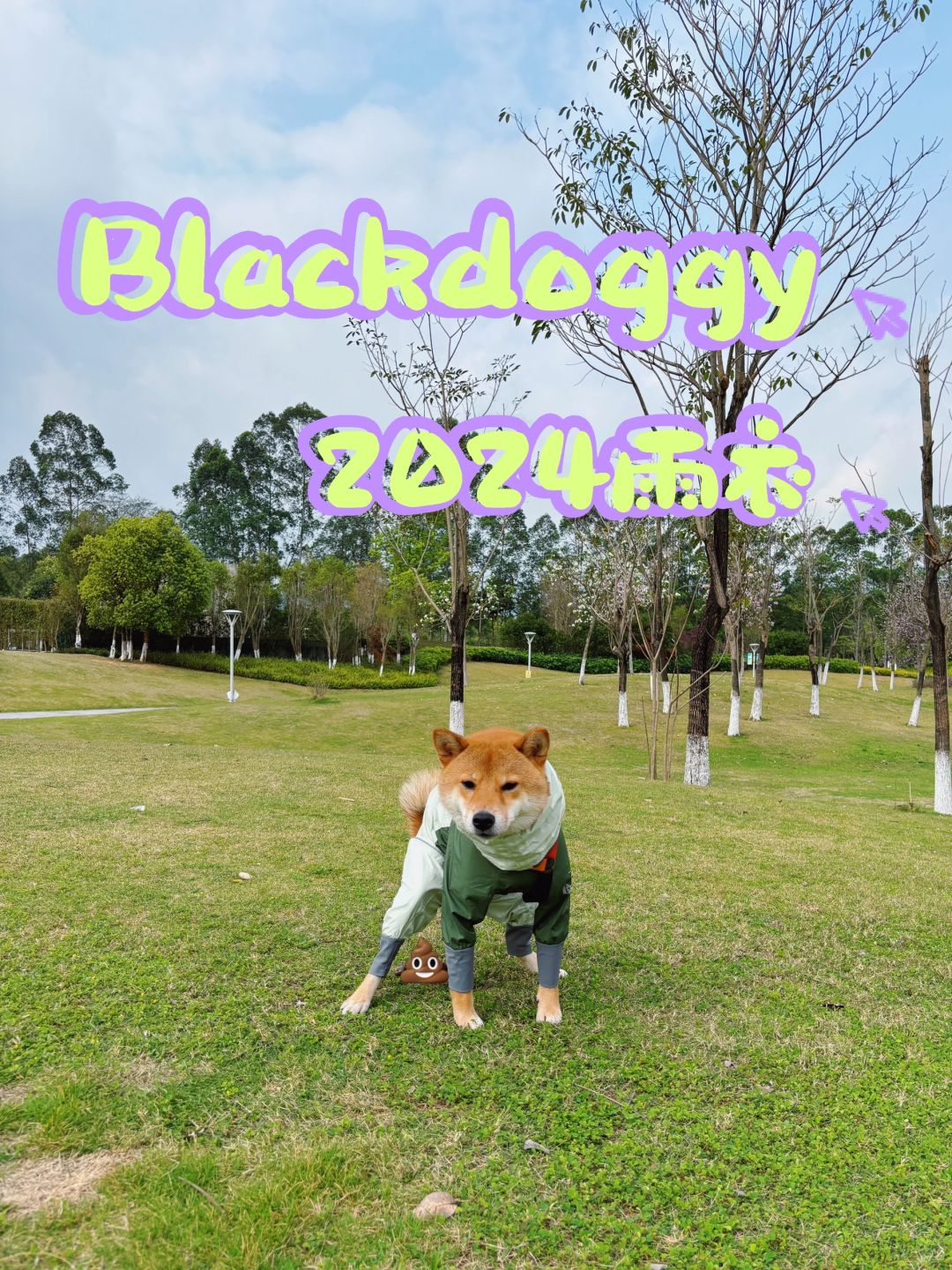 小狗的装备｜Blackdoggy2024雨衣☔️