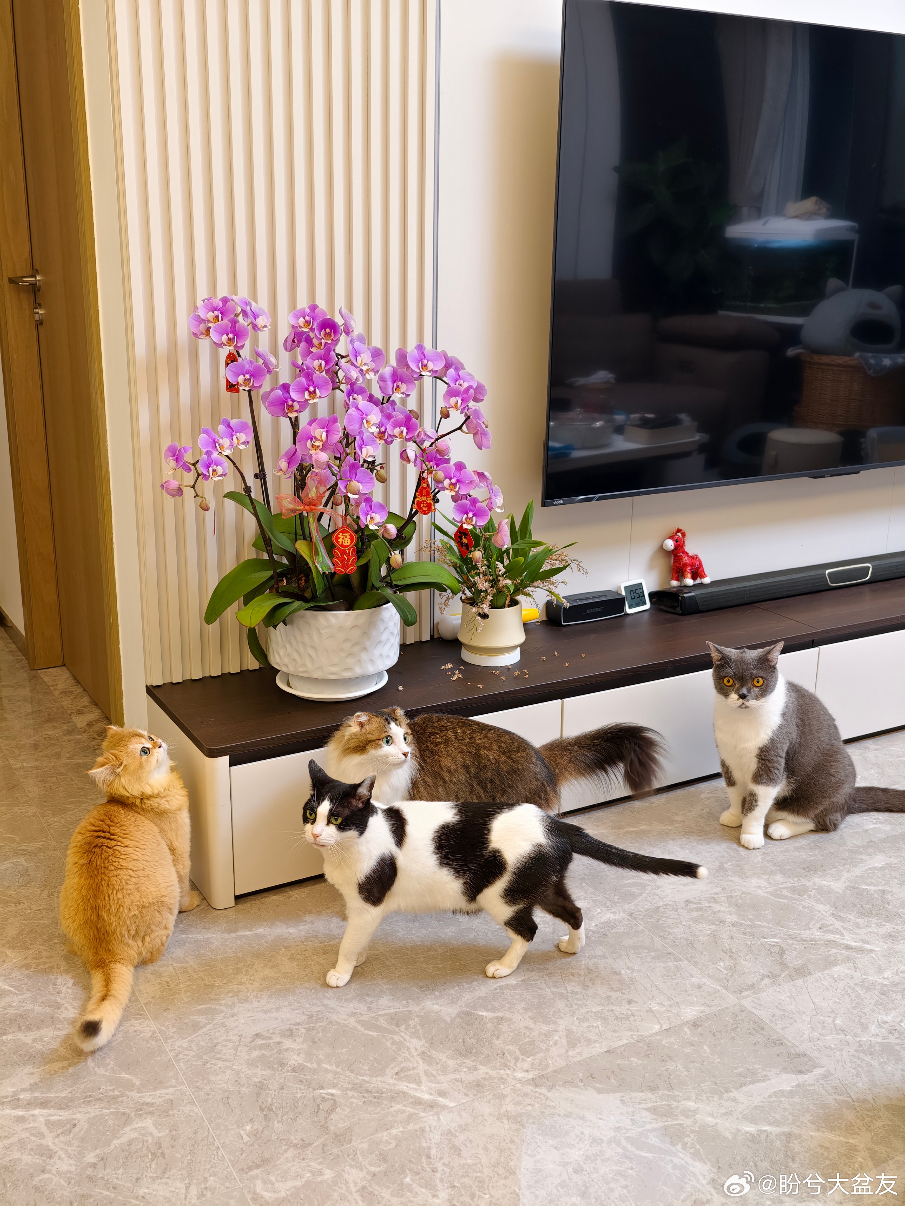 同龄人的生活vs我的生活同龄人带3个娃，我带4个娃！