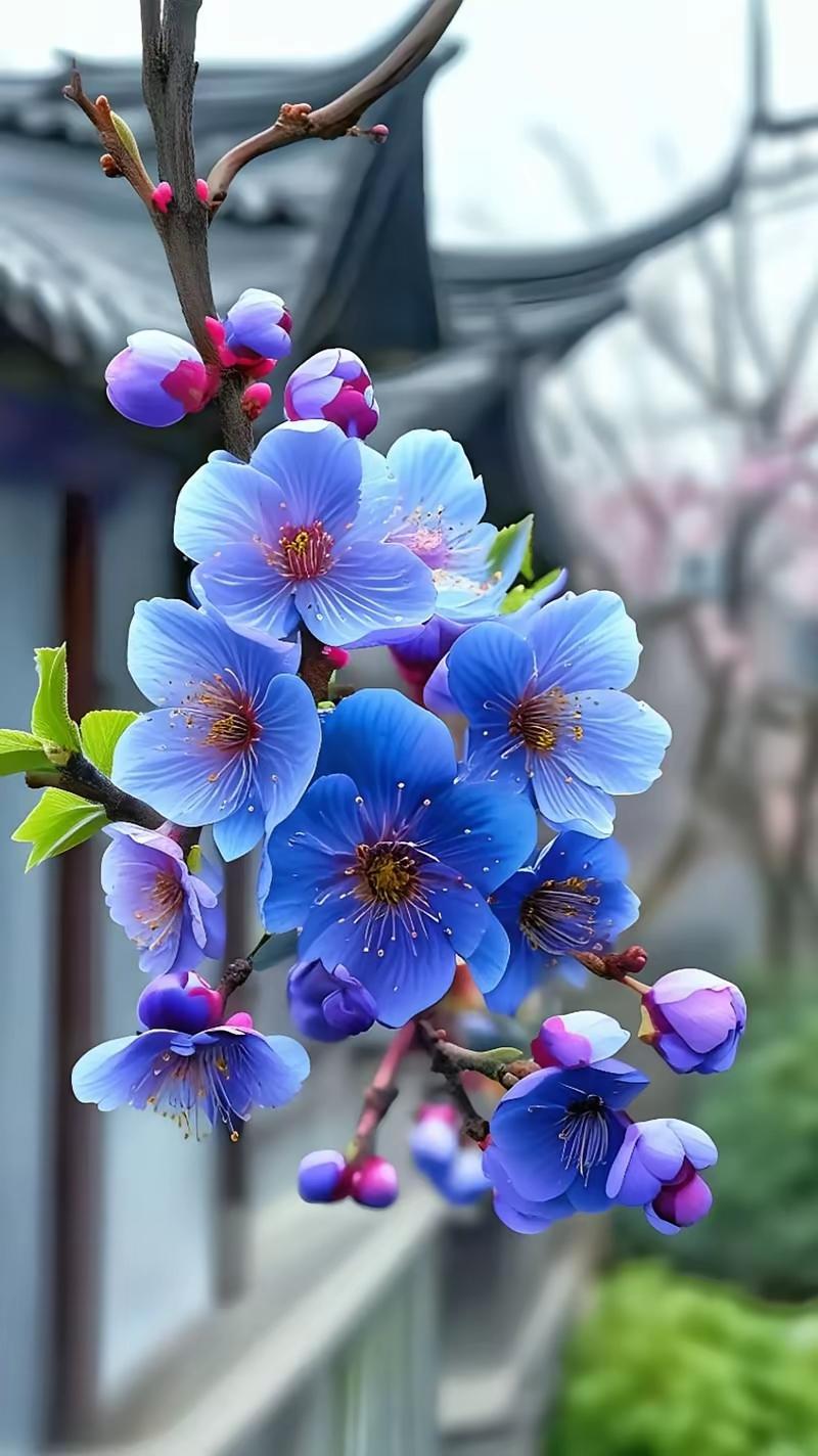 最靠谱的识人术
1、越是低调的人，一般很有本事；越是喜欢吹牛皮的人，一般都没有什