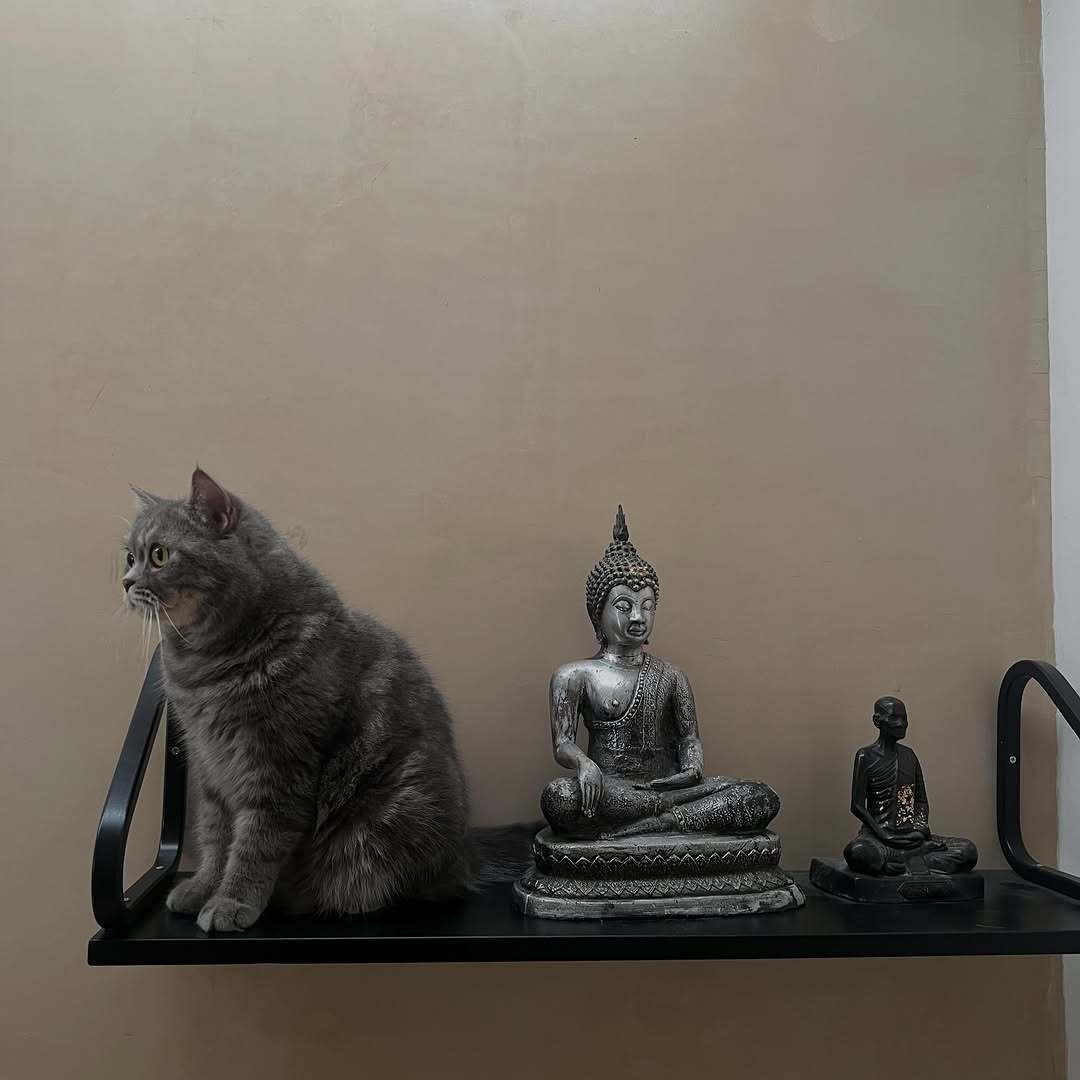 FirstKhaotung  🐱！