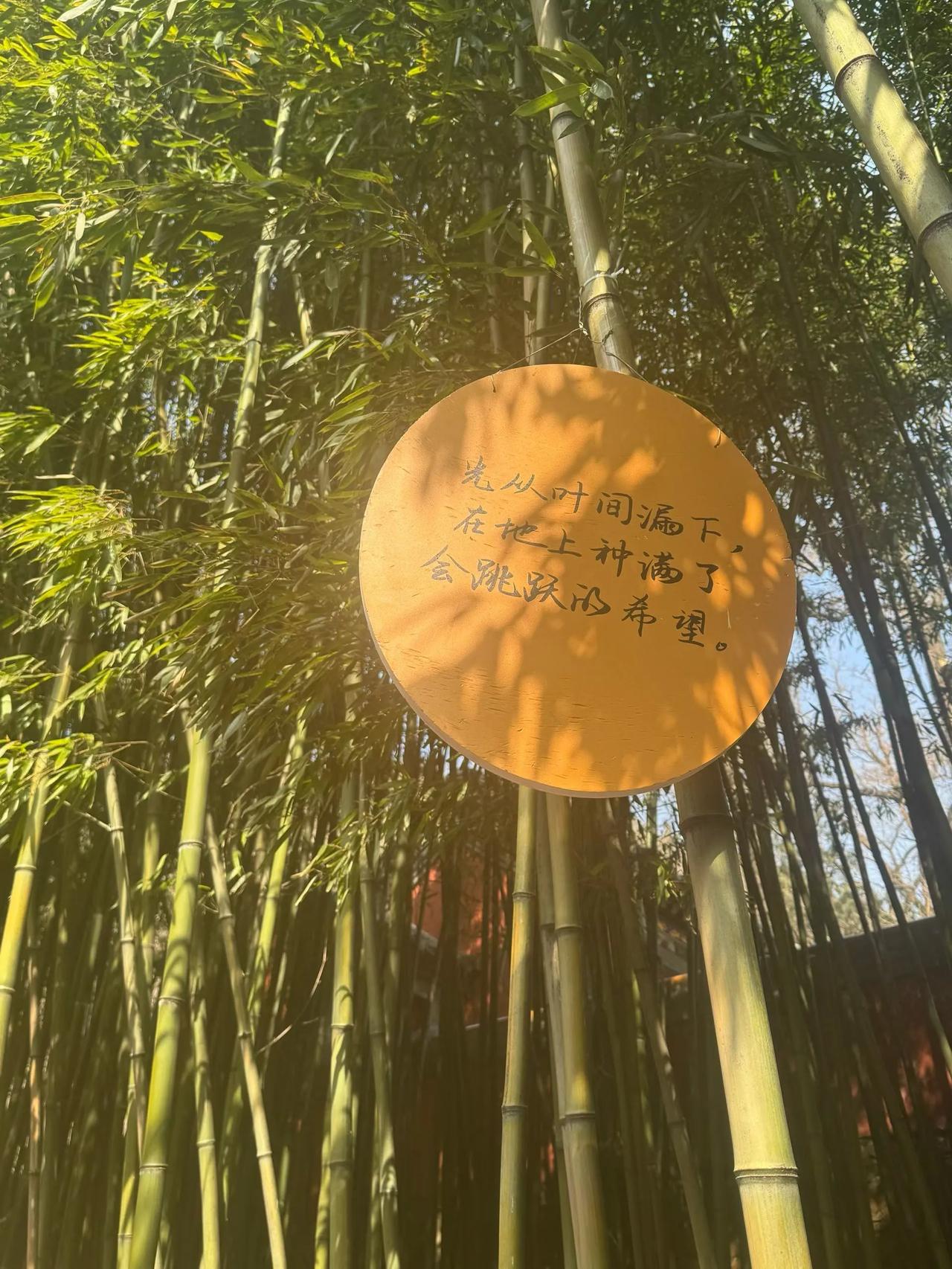 分享一张最近随手拍的照片不明白牌子上的字是什么意思？