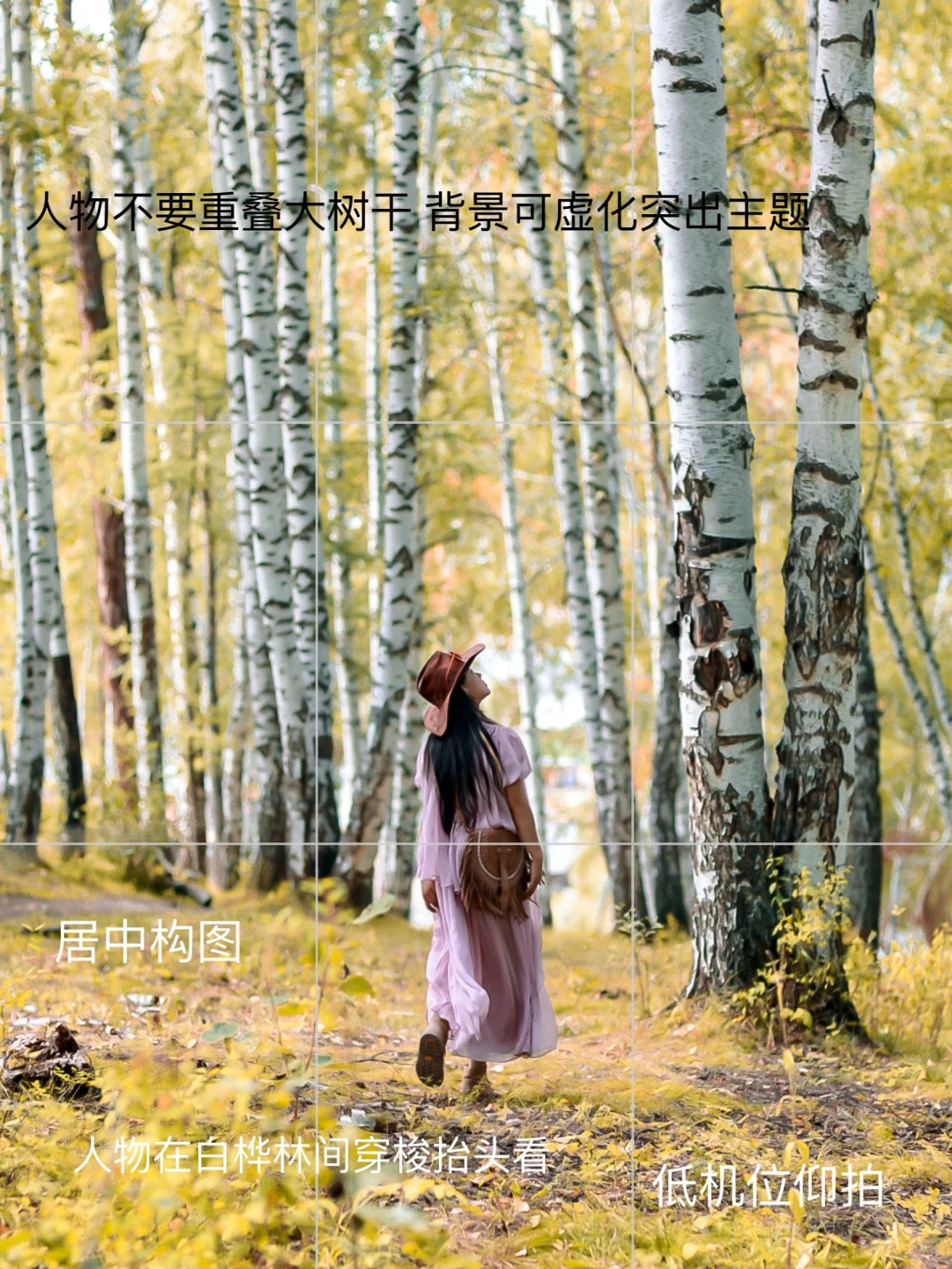 禾木这几个隐藏机位收好📸人少出片附构图