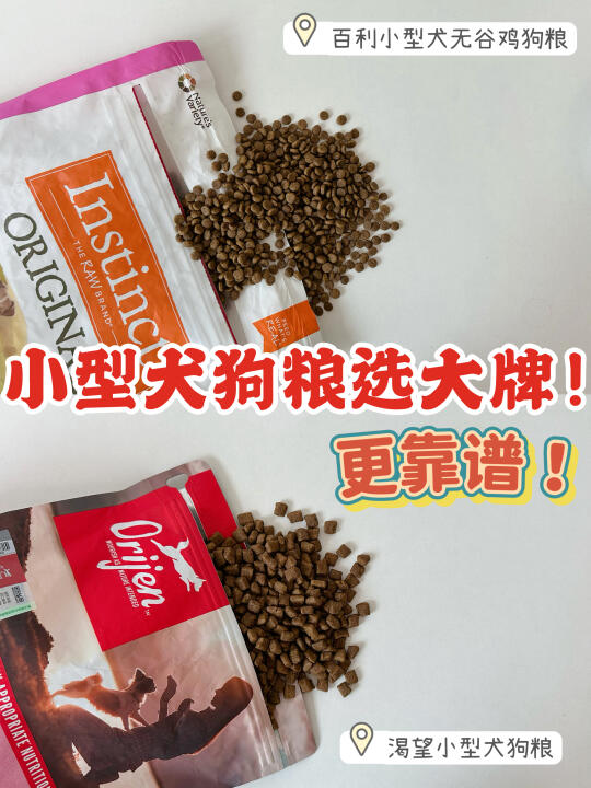 养狗人听劝：小型犬狗粮，买大牌的吧！