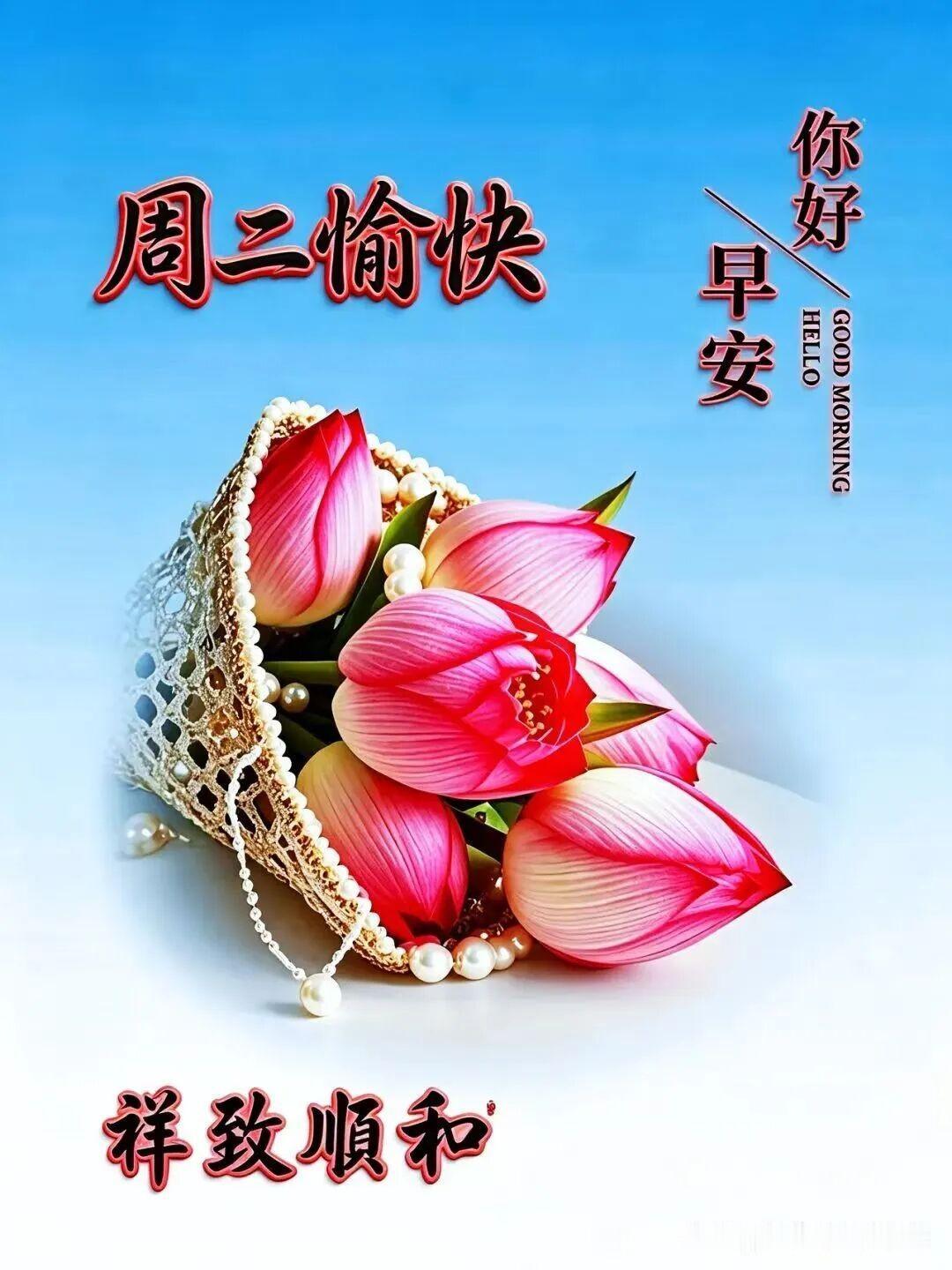 周二快乐，早安，美好一天开始啦！