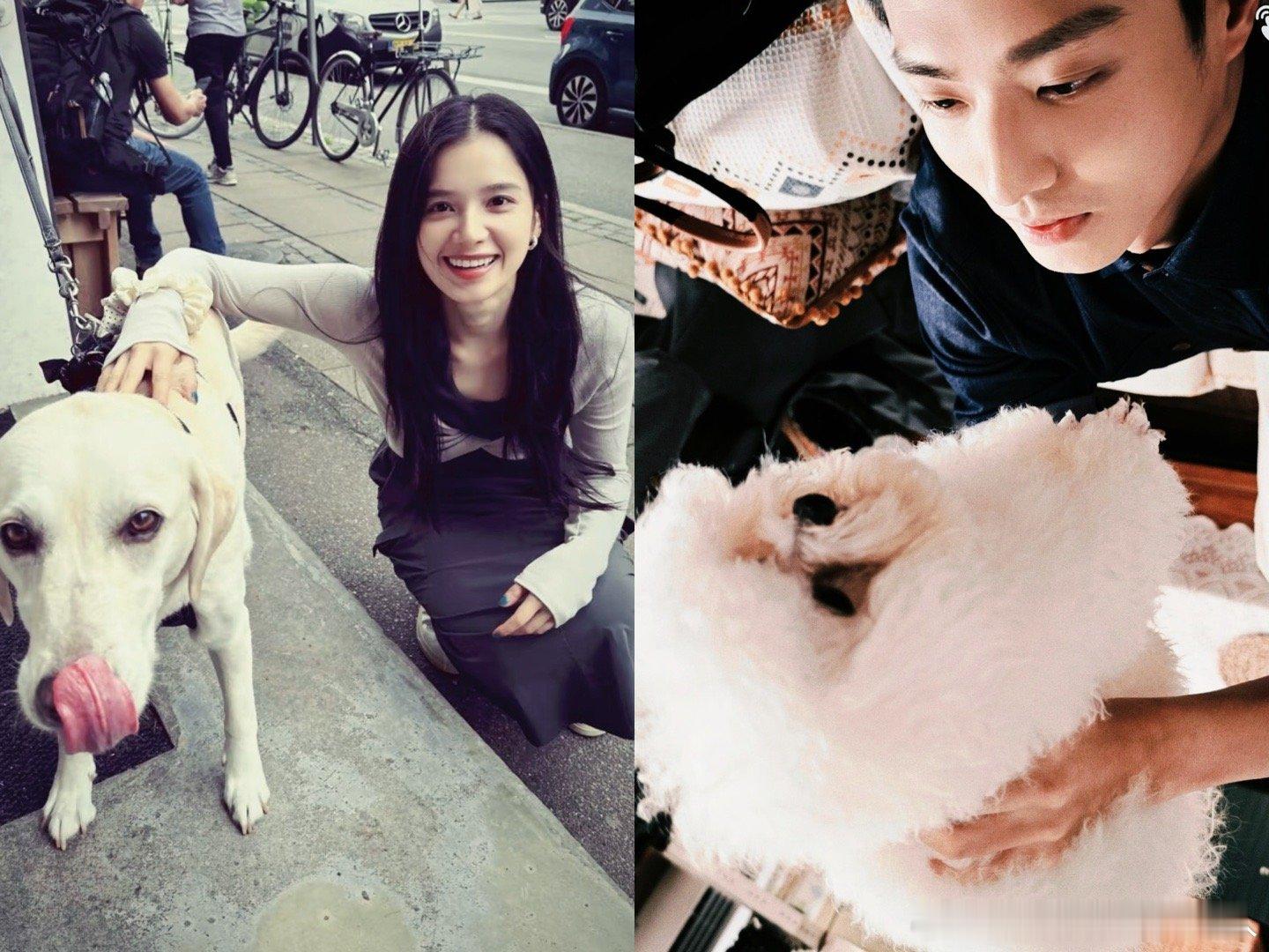 致我那菜市场的白月光开机 致我那菜市场的白月光官宣阵容等疯了！《致我那菜市场的白