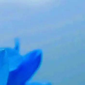 正能量做人平静，不急于求成，不盲目跟风，不随波逐流，以平静心观世界，自会感受到美