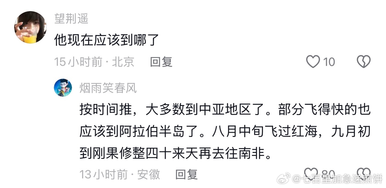 看看时间，今年的雨燕也已经出发了。祝它们一路顺风，平平安安到达目的地🙏 