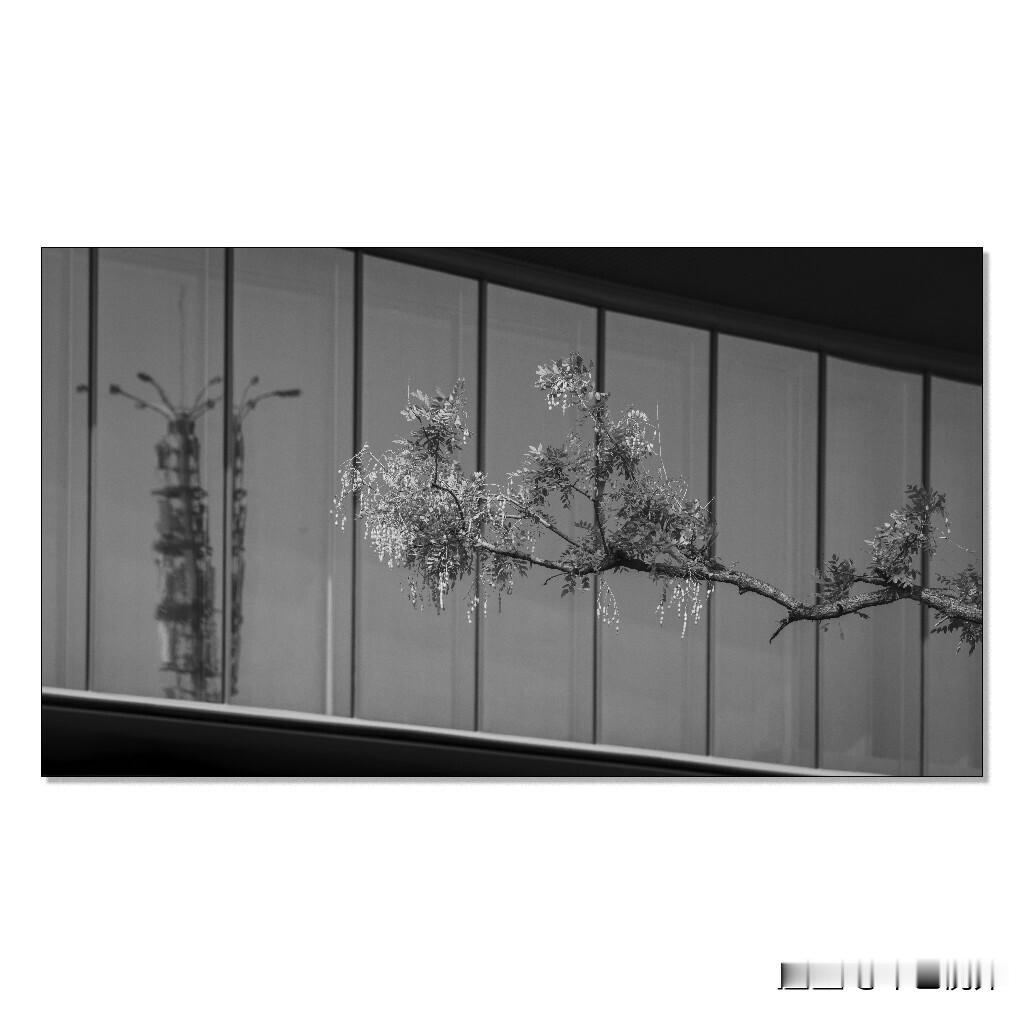新建的理想园，日出时，光线打在理想园售楼处对面的建筑上，形成一个对比反差，理想中