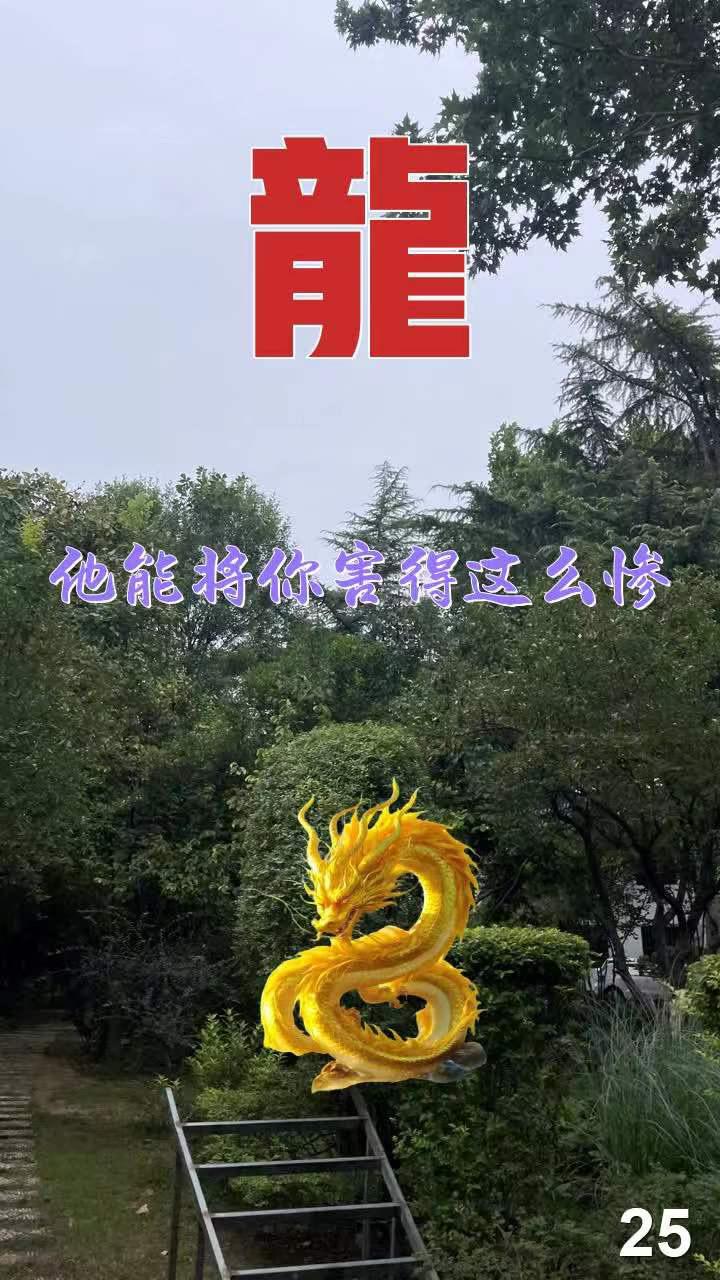76年的龙 88年的龙 00年属龙