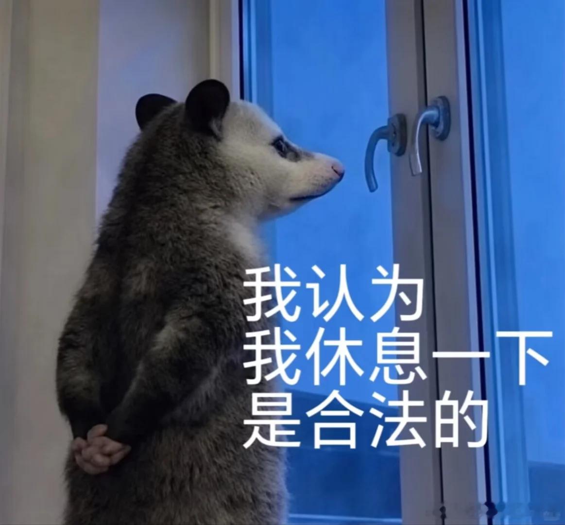 连胜都爽吧？实力不就是这样吗？有些时候在老许大家庭里面，既然选择了加入老许大家庭