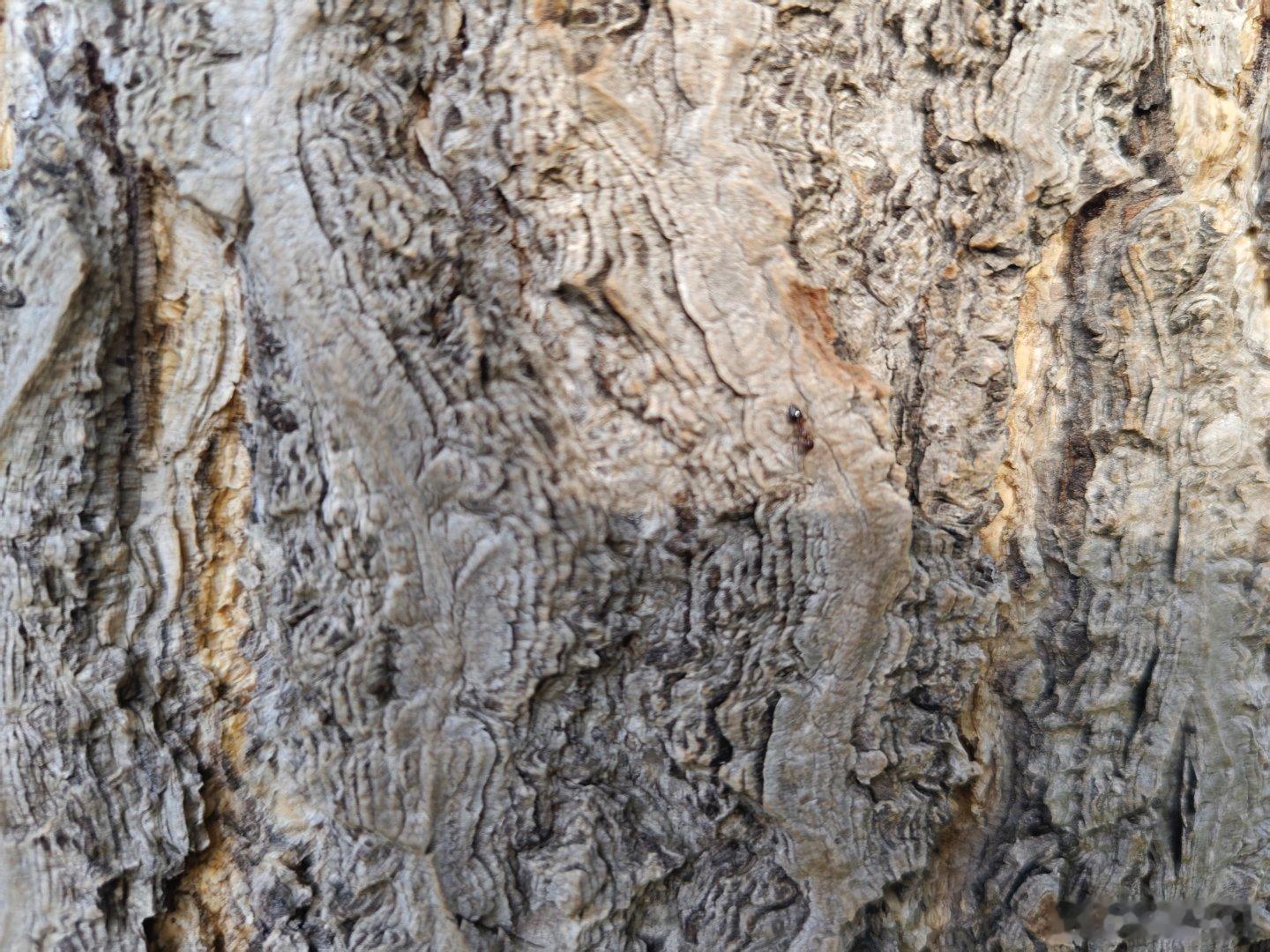 出门就会有收获，阳光，蓝天，白云，清风，细雨，鲜花，带不走的🐜，还有别人遗落的