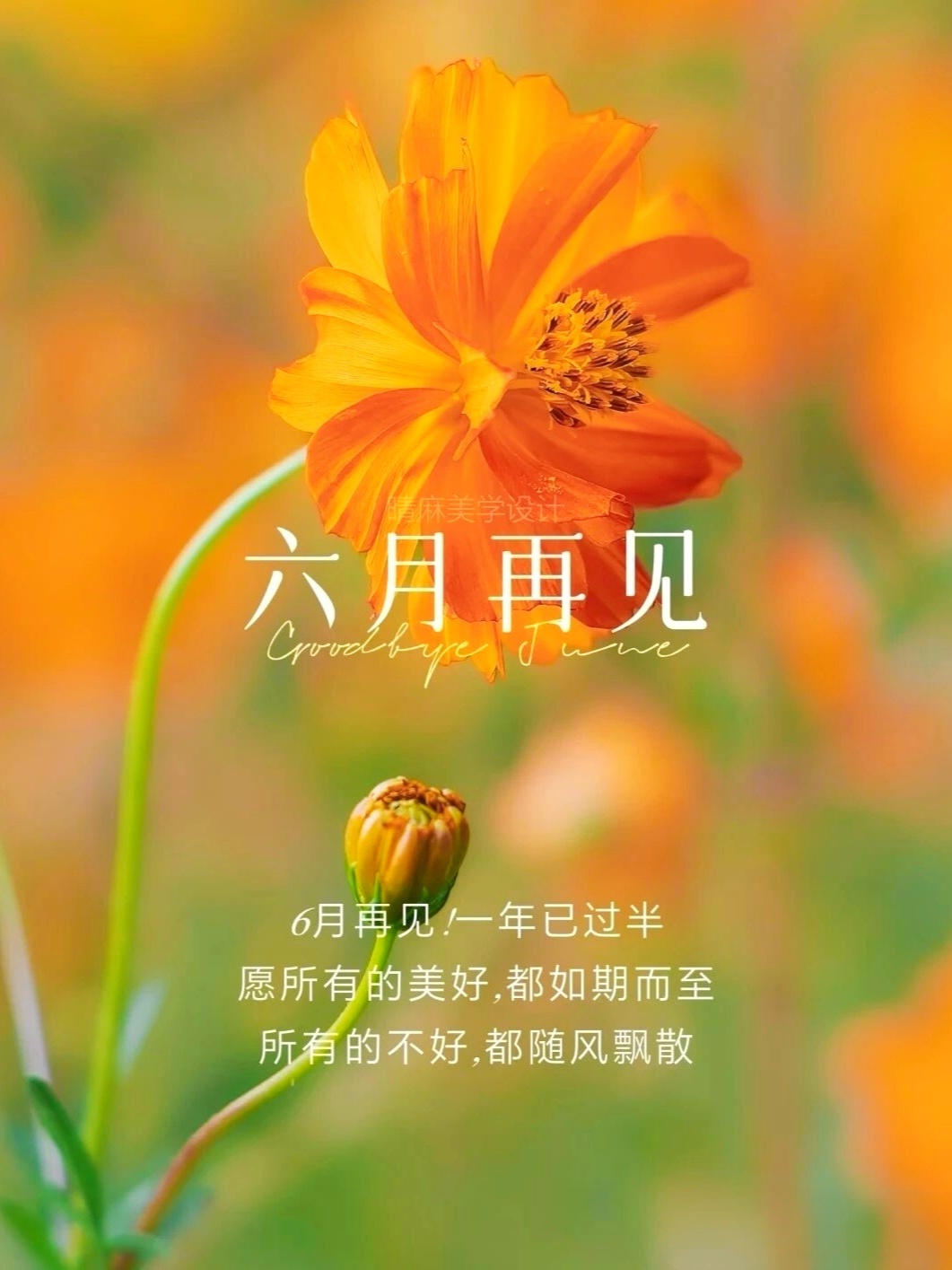 6月再见！一年已过半愿所有的美好，都如期而至所有的不好，都随风飘散。——六月再见