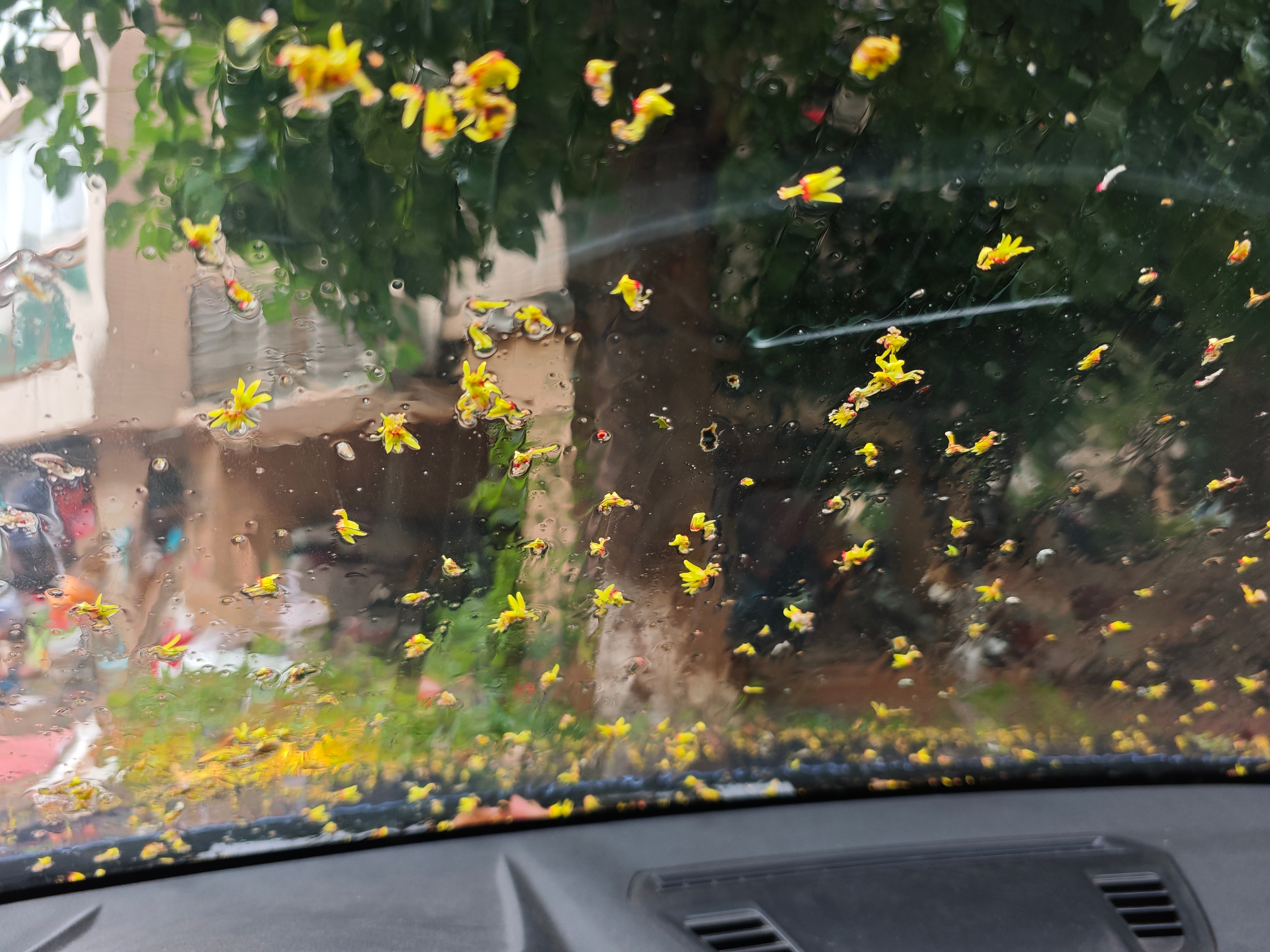 下雨天和游泳更配现在出发[点赞] ​​​