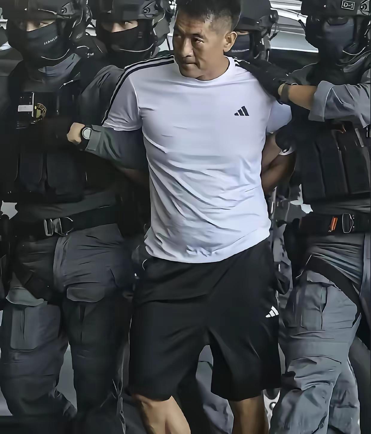 佘智江被抓，赵薇受牵连！他跟表哥黄有龙都是初中没毕业，就闯江湖了。搞钱的同时，很