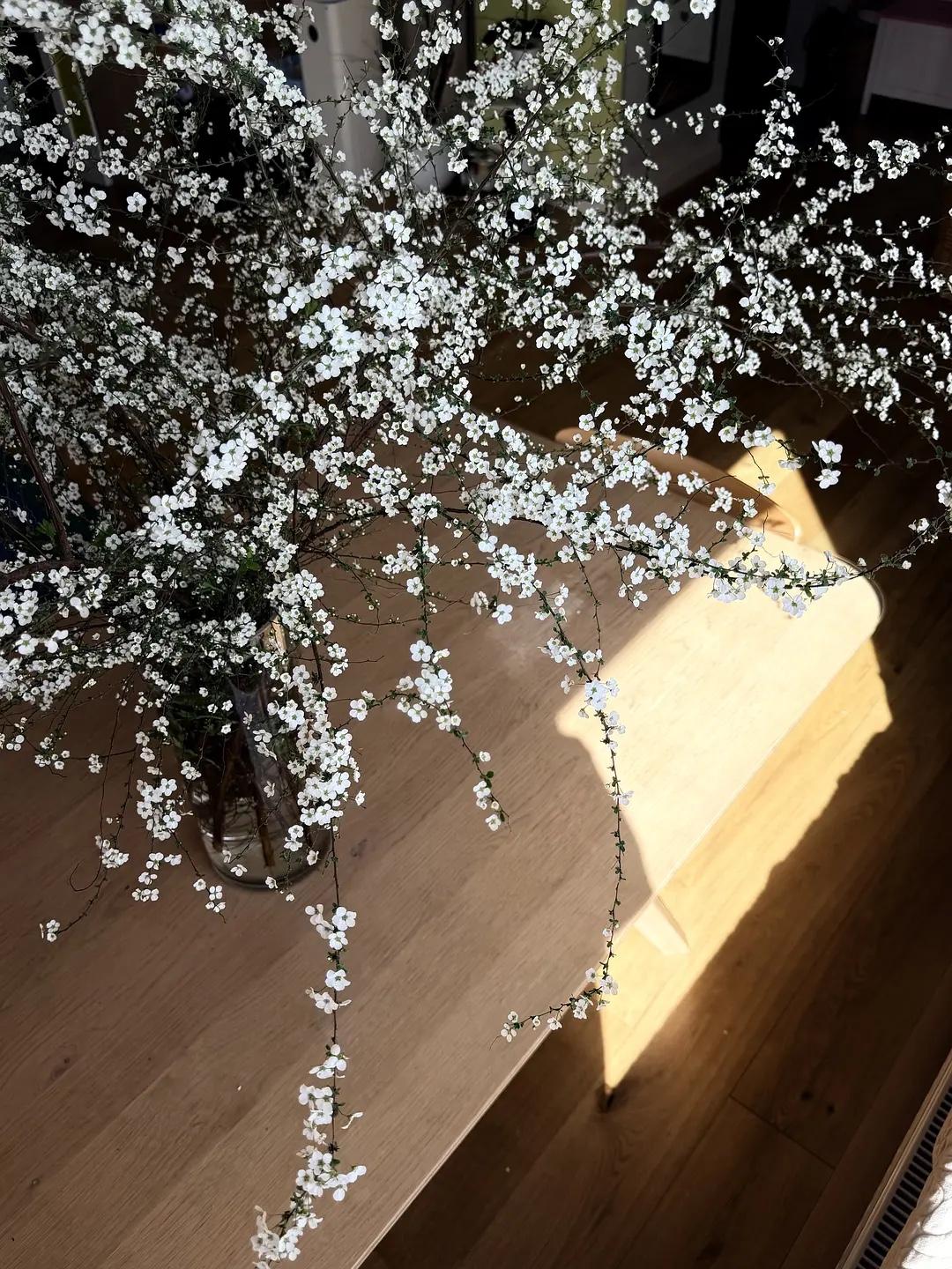 老祖宗传下的处世老话，句句少走弯路：

1. 穷不走亲，富不还乡，话糙理不糙；