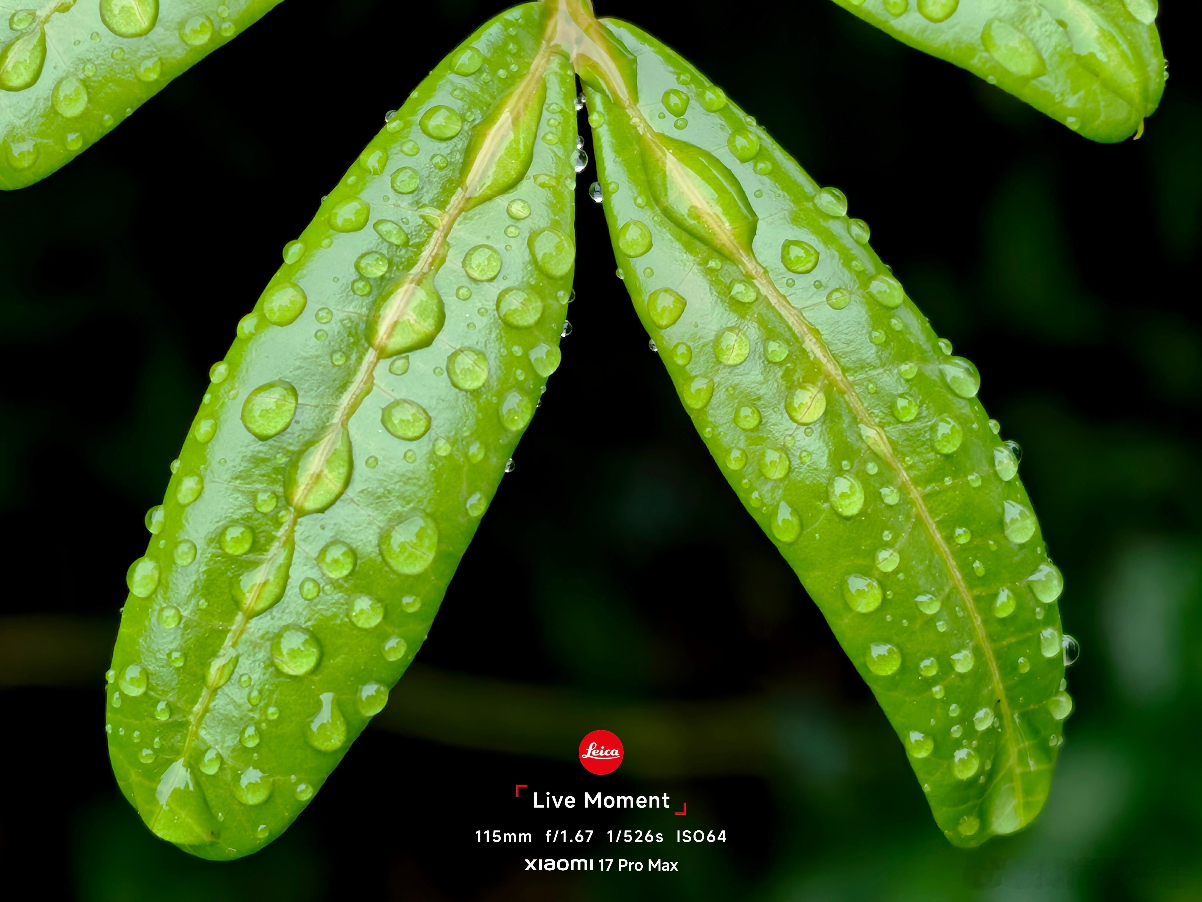 今天出门的时候看天气预报说没有雨就没有带伞，结果就出意外了，差点变落汤鸡了
