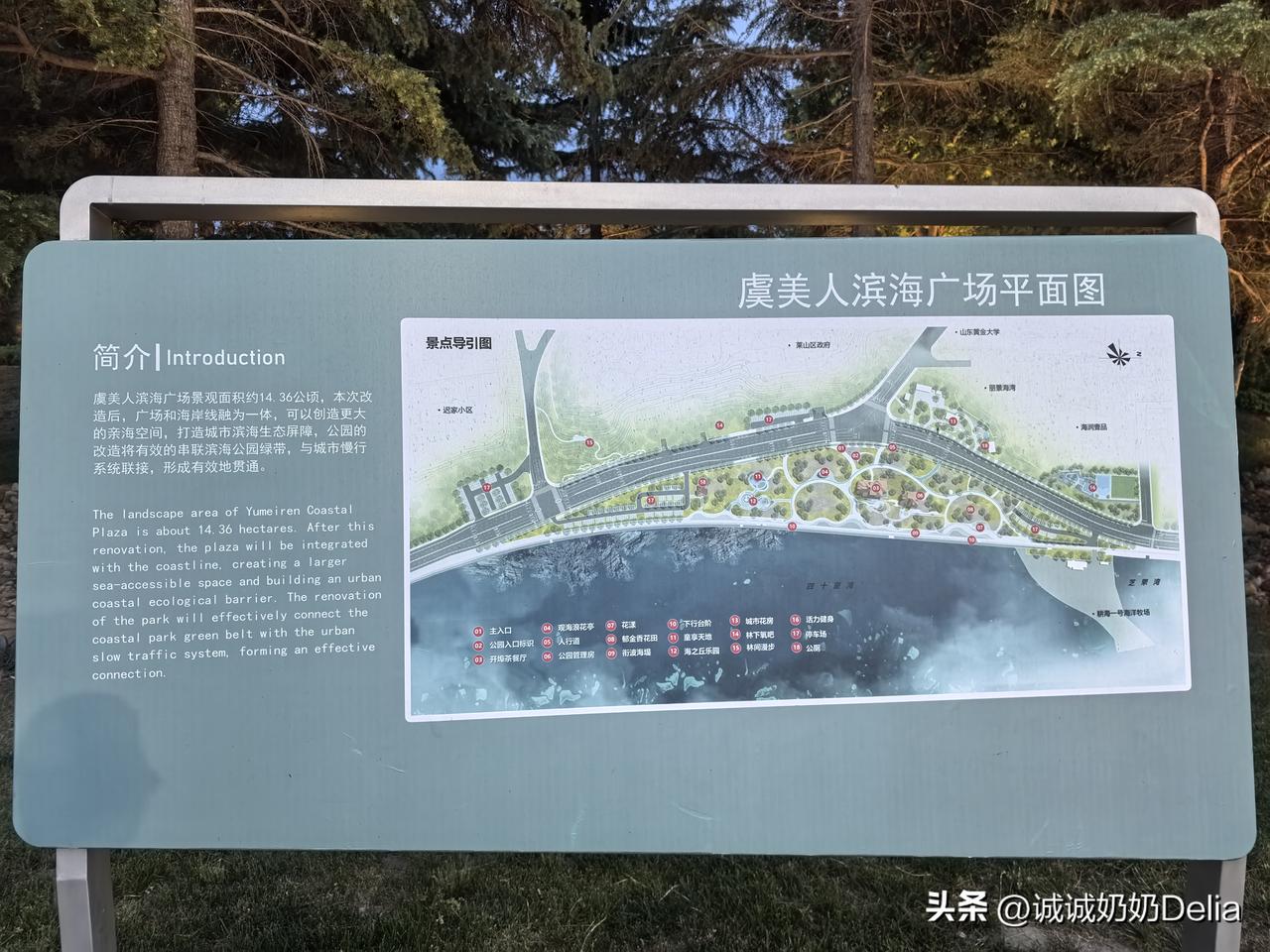 晚饭后从全季酒店门口坐上17路观光巴士，在虞美人广场下车。沿着舒缓的滨海步道步行