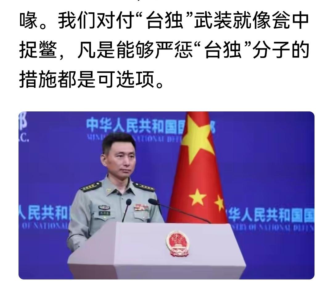 “凡是能够严惩“台独”分子的措施，都是我们的可选项。”
台独分子的末日到了。