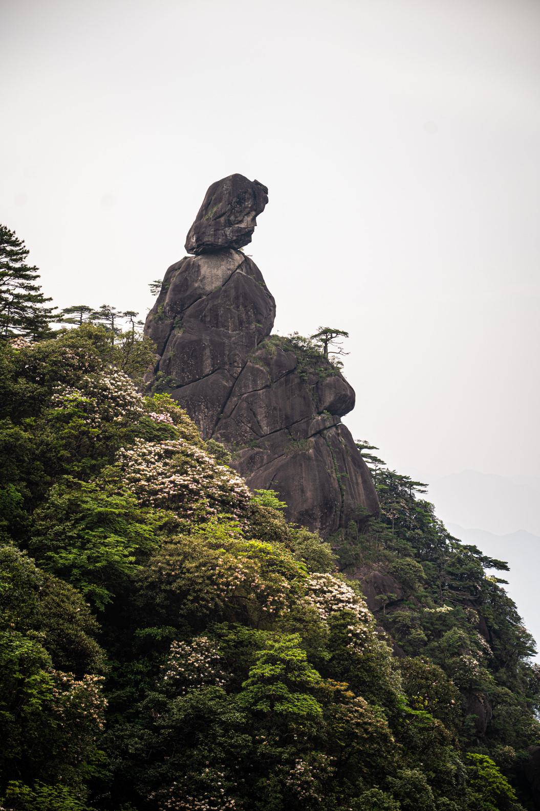 令美国焦虑的五大中国企业！
1、 第一名：华为
2、第二名：比亚迪
3、第三名：