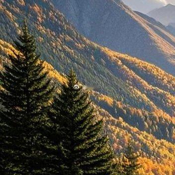 每日一善  [月亮] 阳光信用 笑对生活是一种态度，善待人生是一种境界。感恩拥有