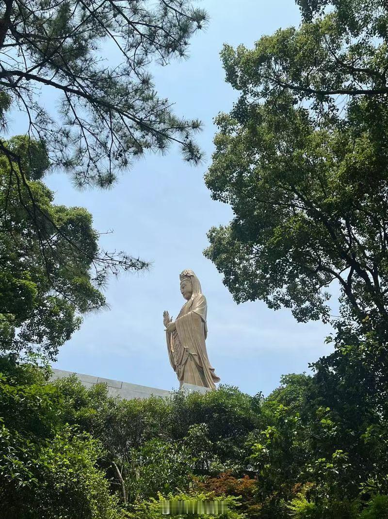 普陀山 踏上海岛那一刻，“来了就好”四字涌上心头——抵达，便是与菩萨的约定。沿香