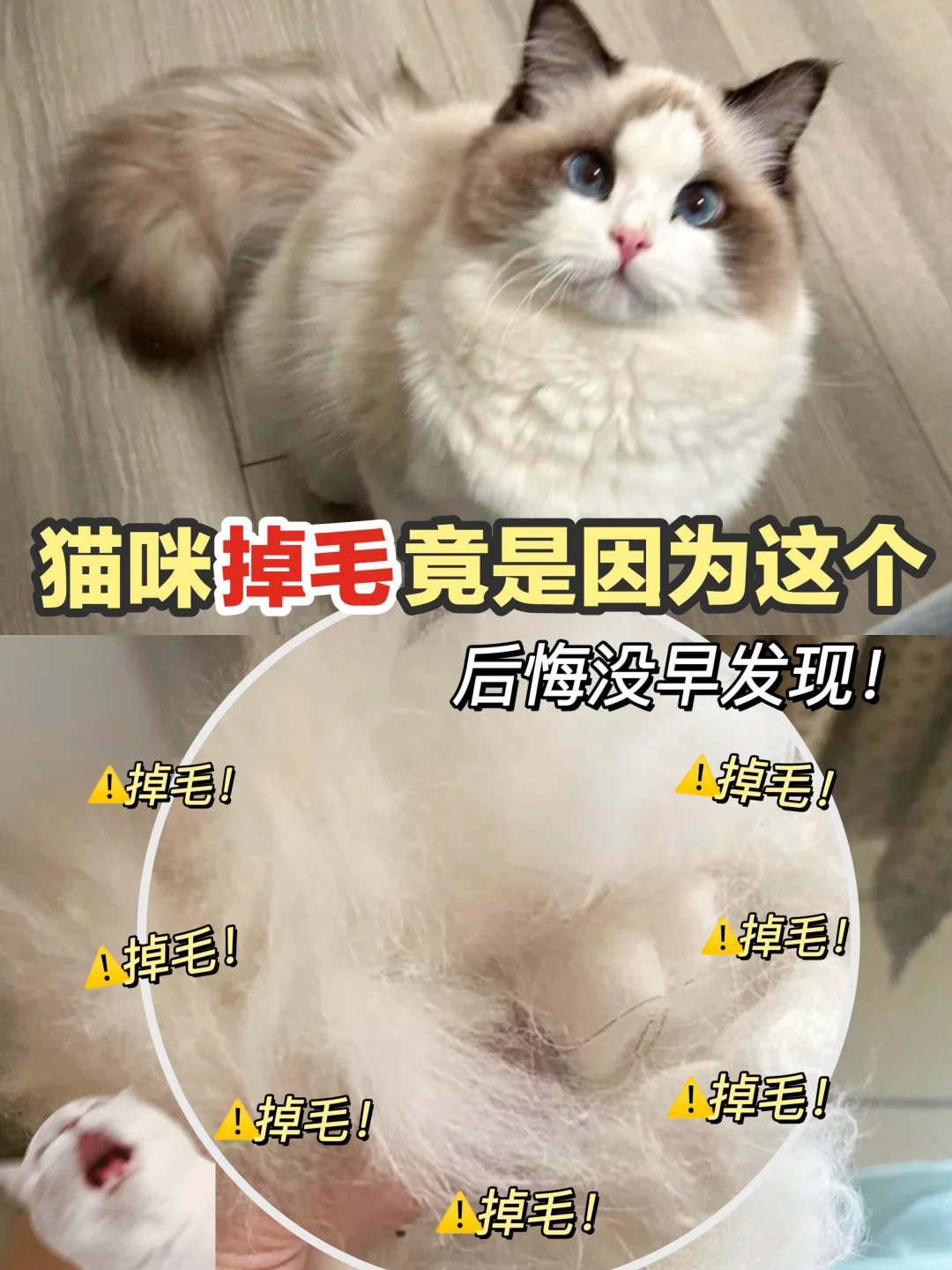 家里漫天飞毛的痛苦谁懂？还好我有秘密武器！