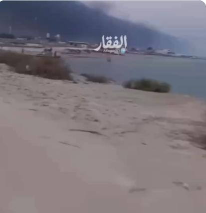 【⚡️美国已打击伊朗在霍尔木兹海峡附近的多个目标】据《Axios》记者巴拉克·拉